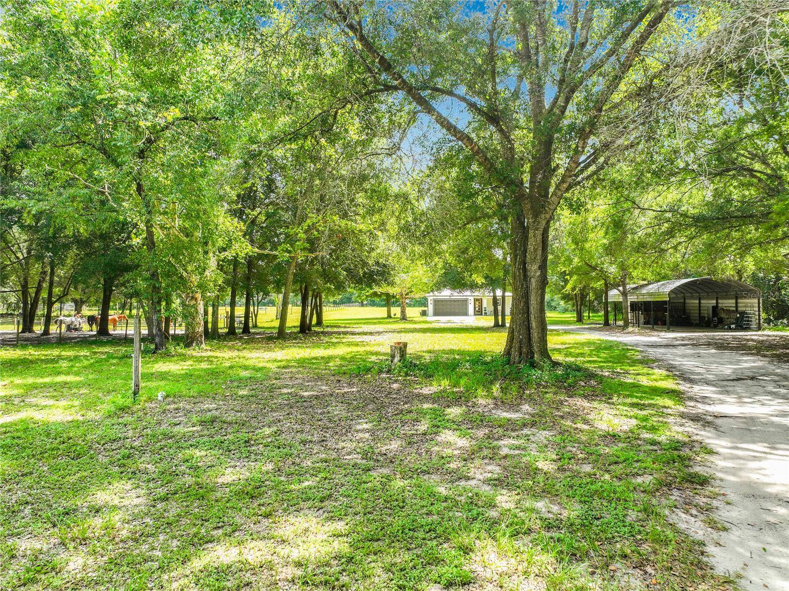 34814 WILLIAM LN, Eustis, FL 32736
