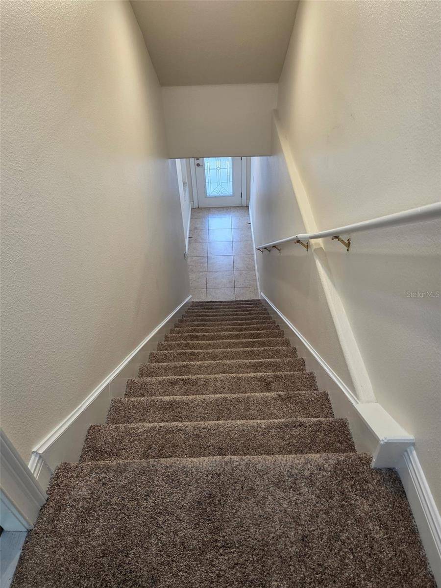 6223 ANHINGA PL, Tampa, FL 33615