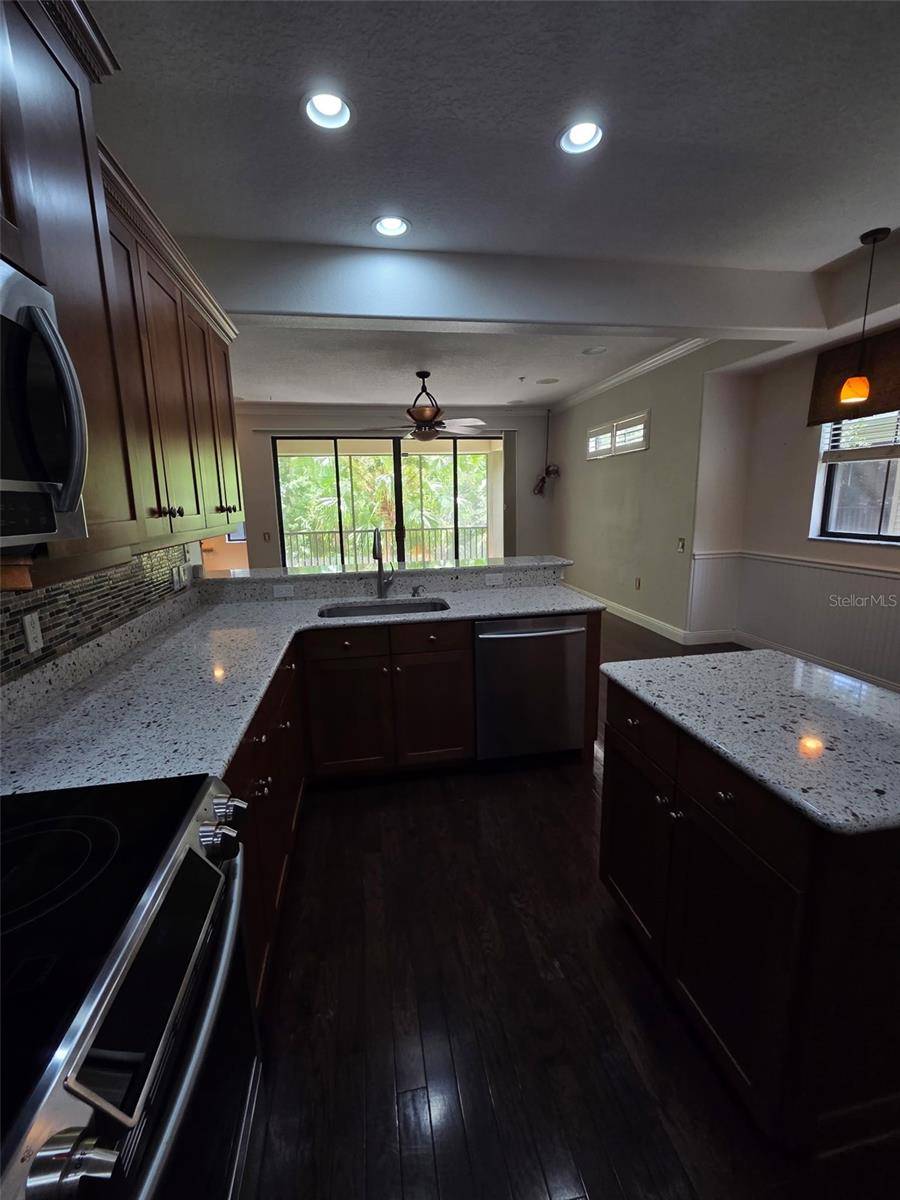 6223 ANHINGA PL, Tampa, FL 33615