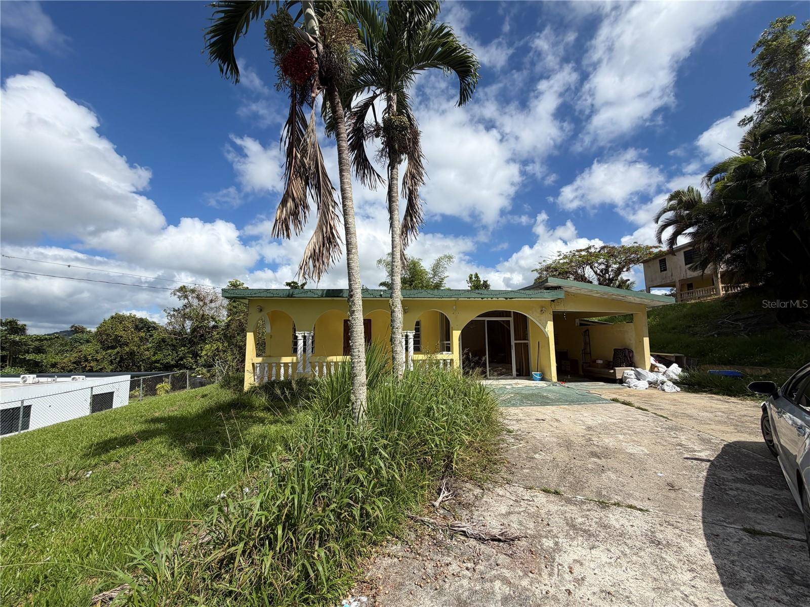 SR 162 KM .9 Int. ASOMANTE WARD, Aibonito, PR 00705
