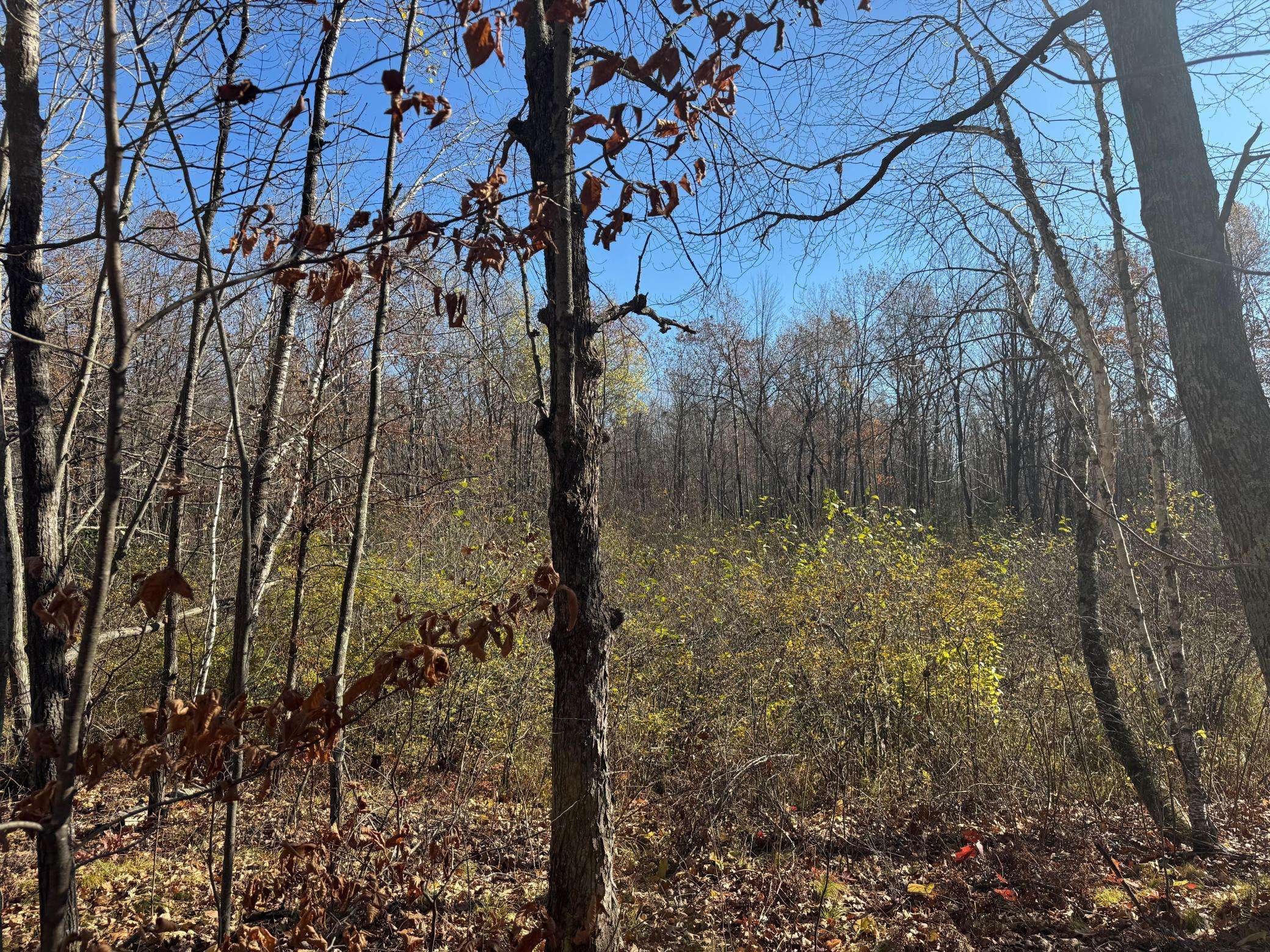 TBD Grace Lake RD, Sandstone, MN 55072
