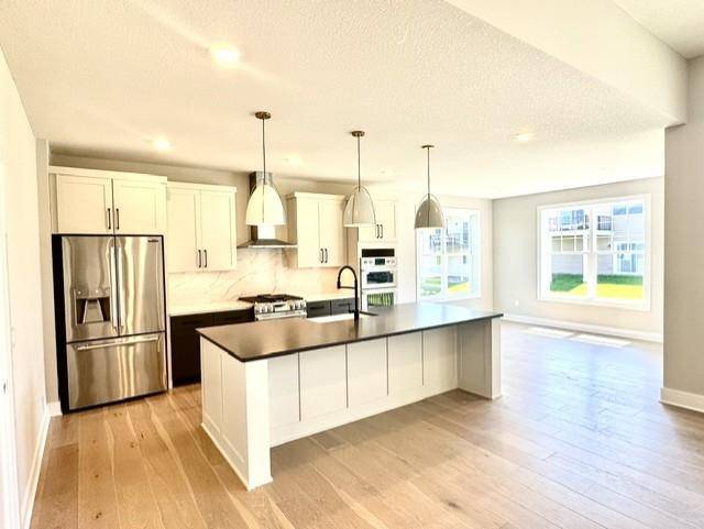 20100 Ginseng WAY, Lakeville, MN 55044
