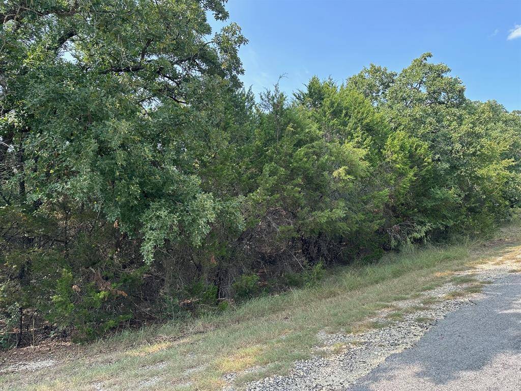 18038 & 18039 Southhill Drive, Whitney, TX 76692