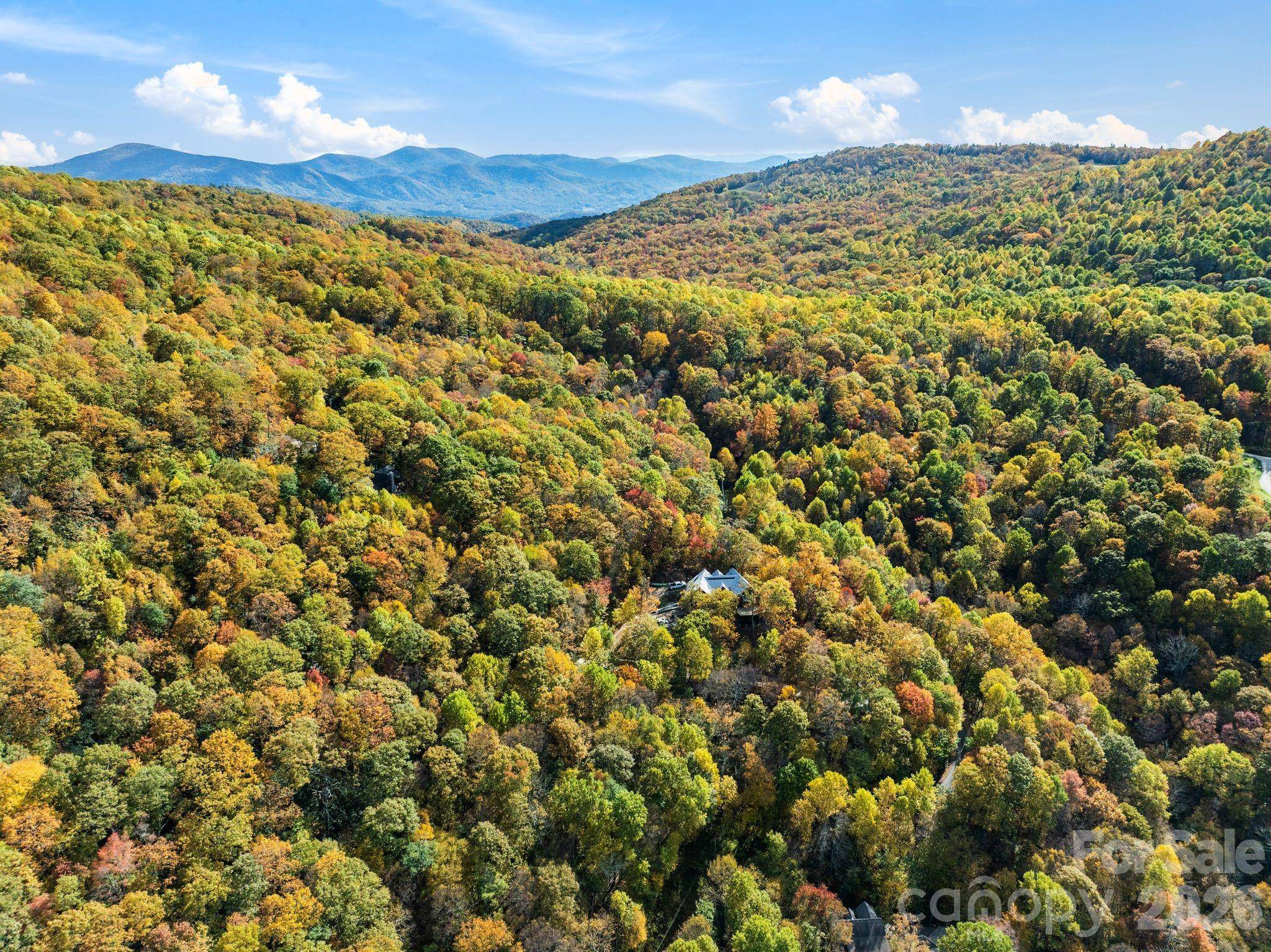 99999 Lytle Cove RD, Swannanoa, NC 28778