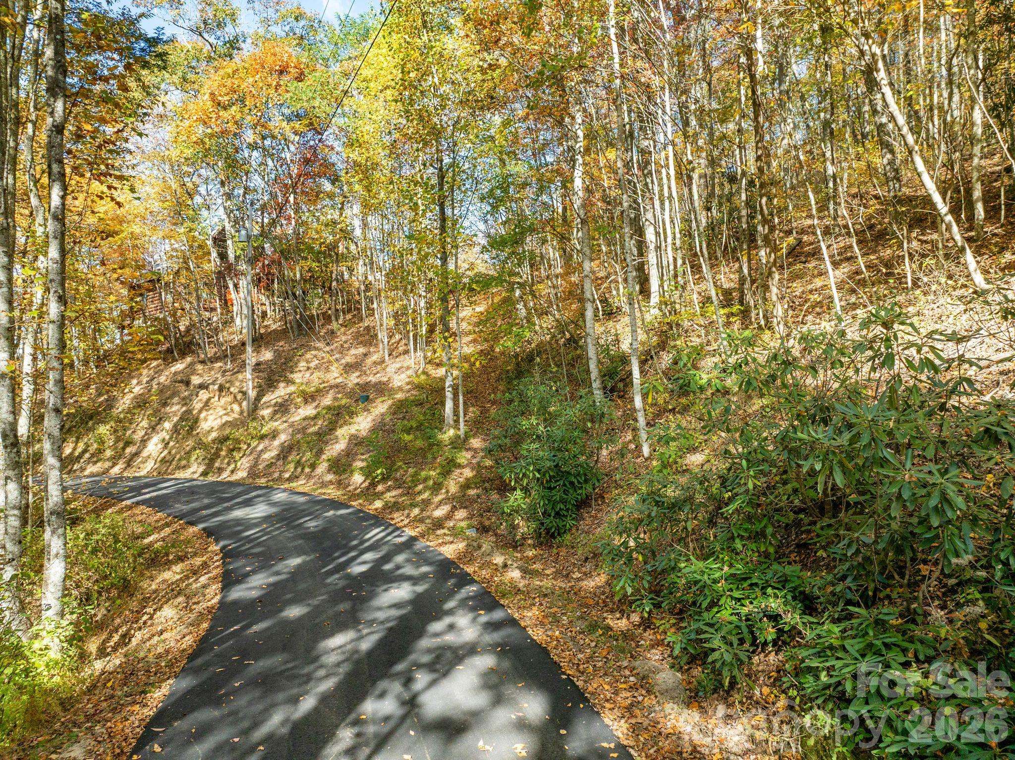 99999 Lytle Cove RD, Swannanoa, NC 28778
