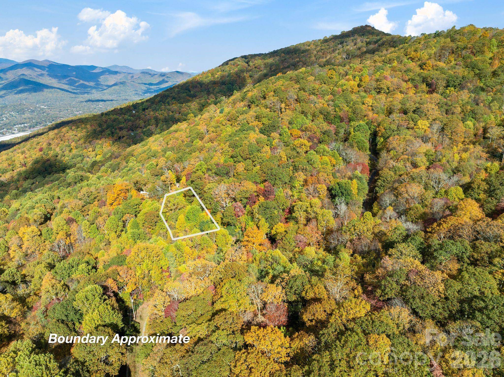 99999 Lytle Cove RD, Swannanoa, NC 28778