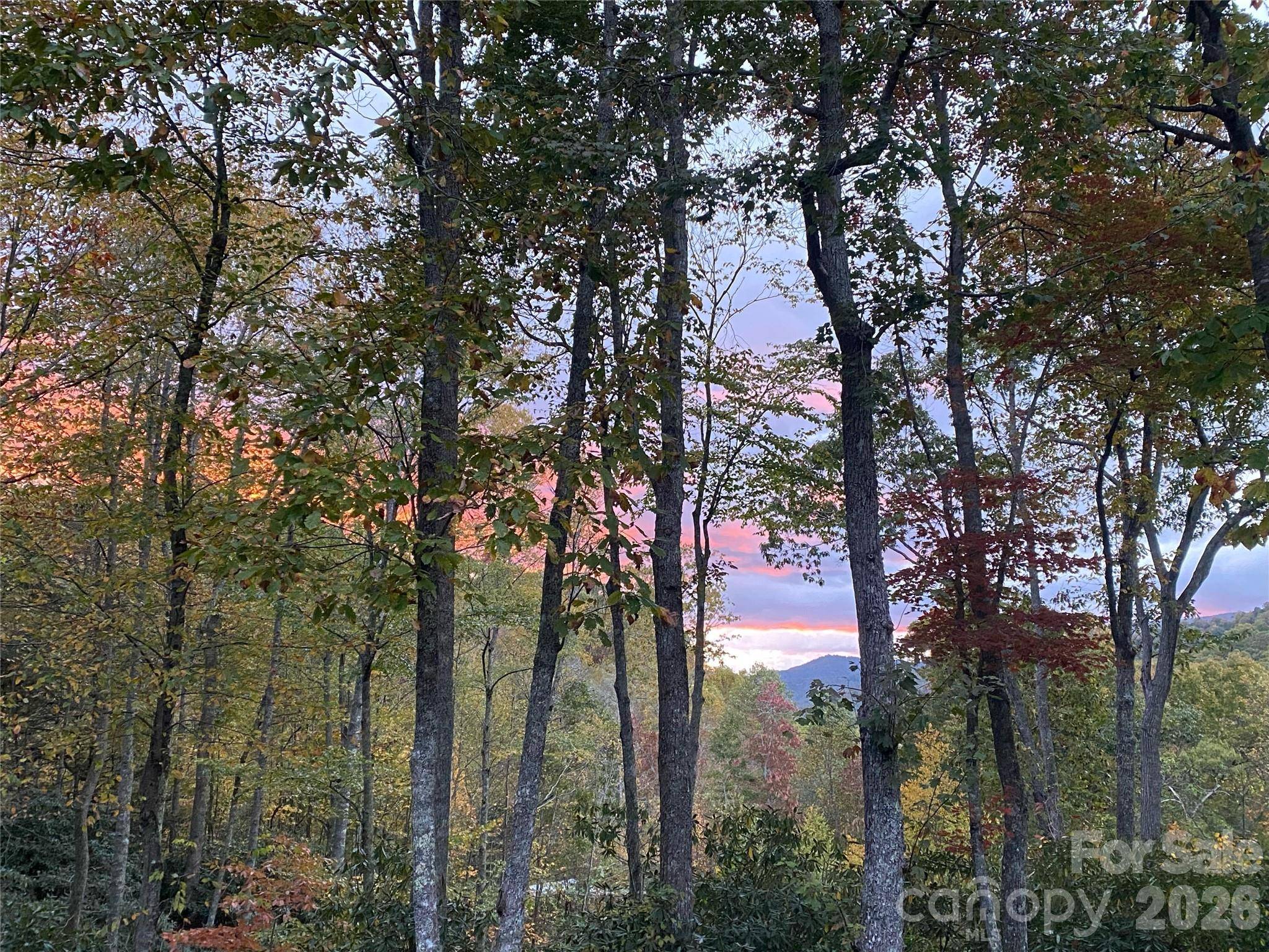 102 and 104 Carriage DR, Fairview, NC 28730