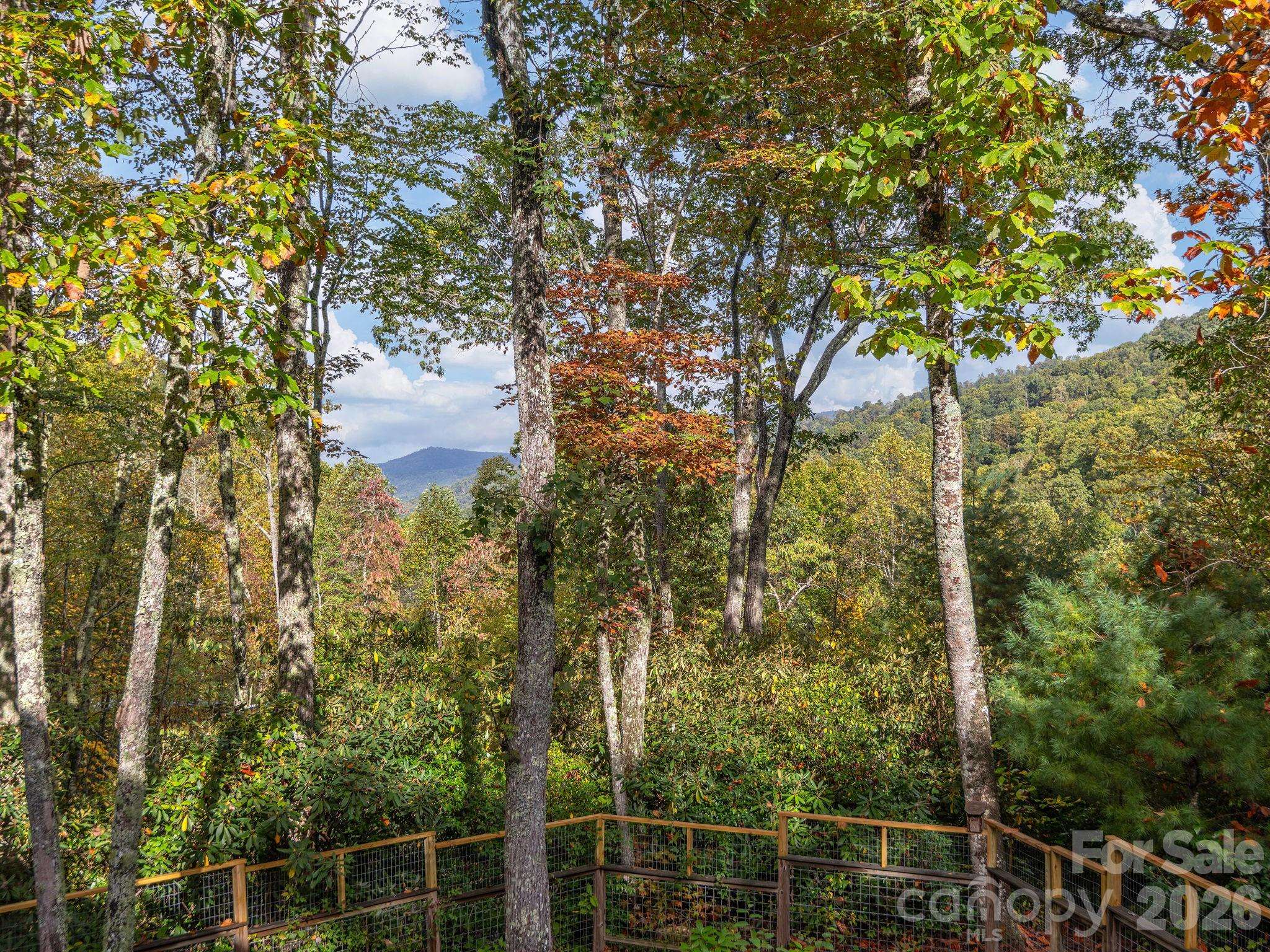 102 Carriage DR, Fairview, NC 28730