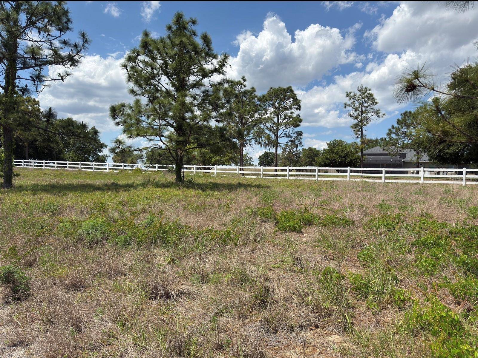 6115 RANCH LAKE RD, Groveland, FL 34736