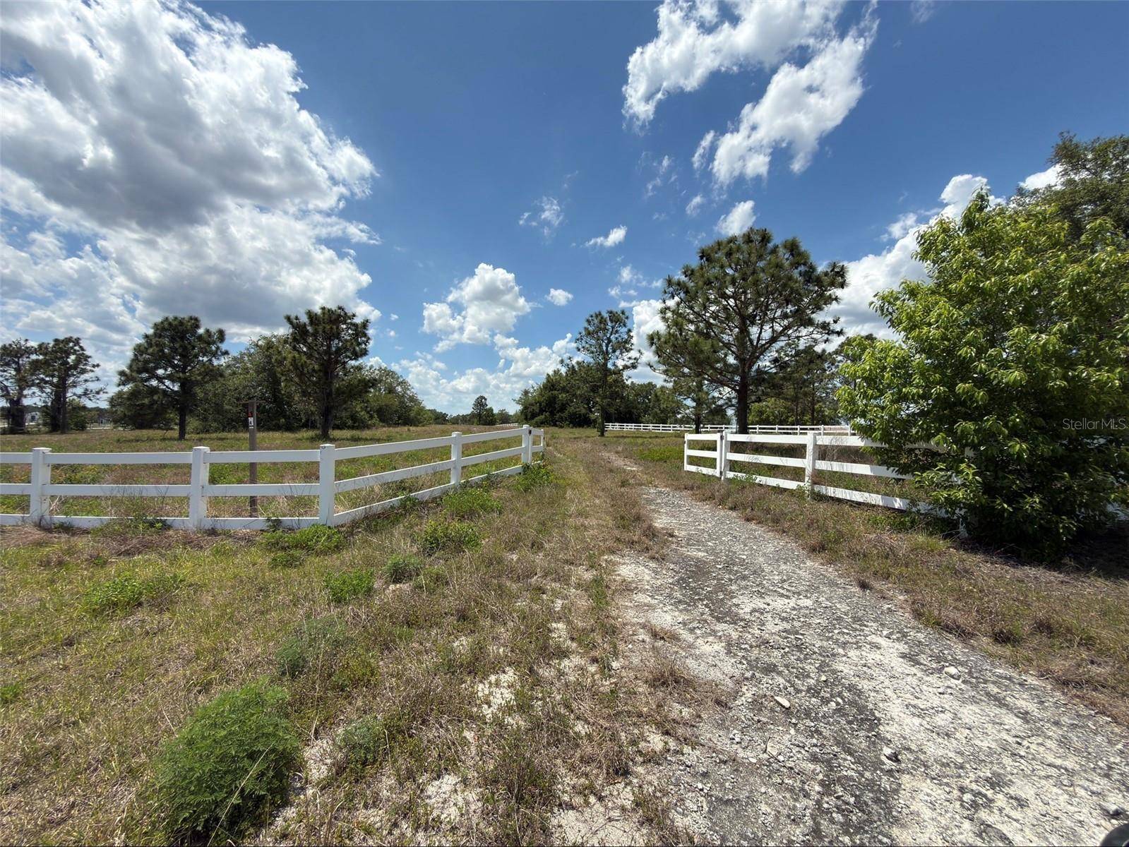 6115 RANCH LAKE RD, Groveland, FL 34736