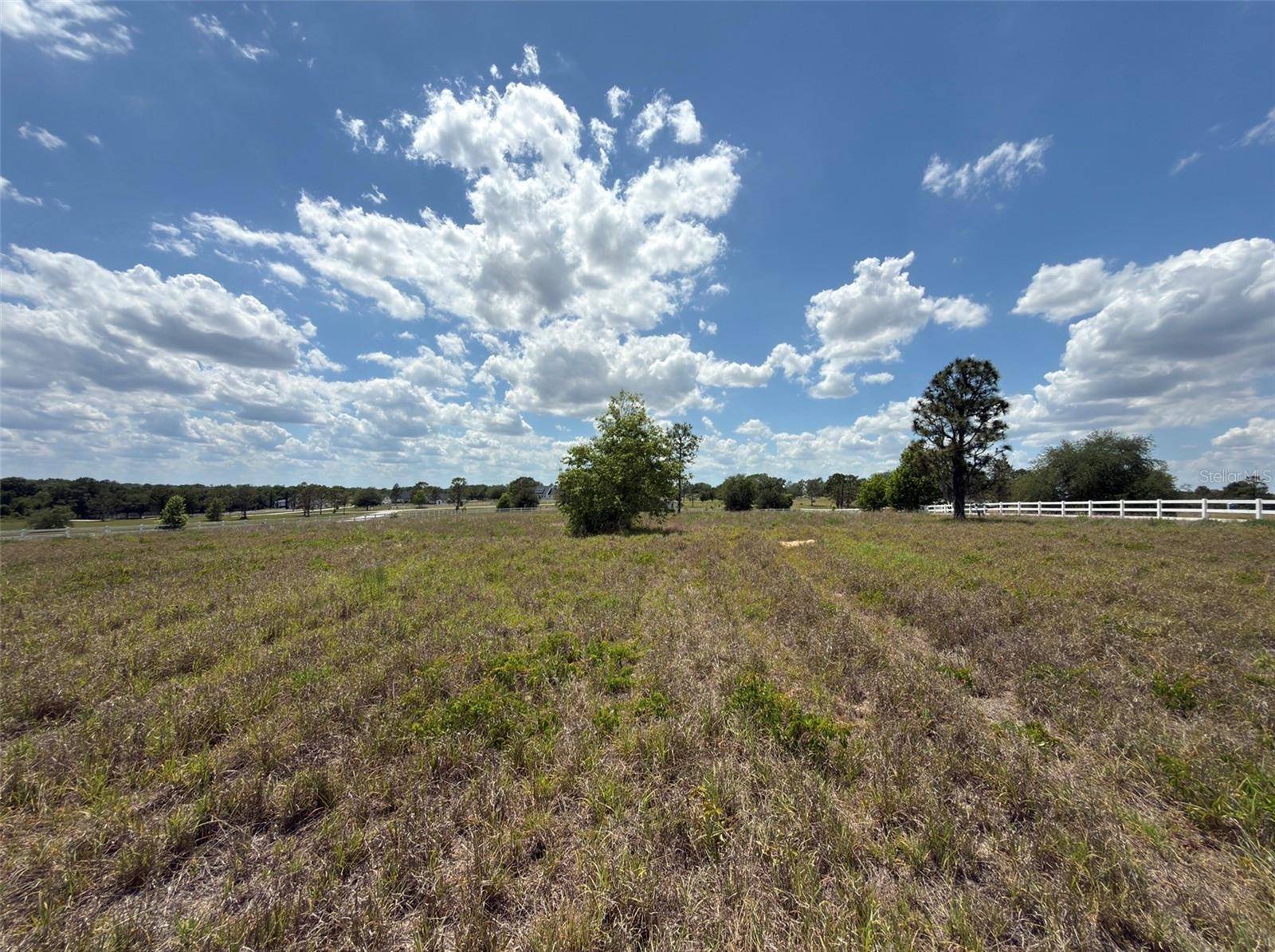 6115 RANCH LAKE RD, Groveland, FL 34736