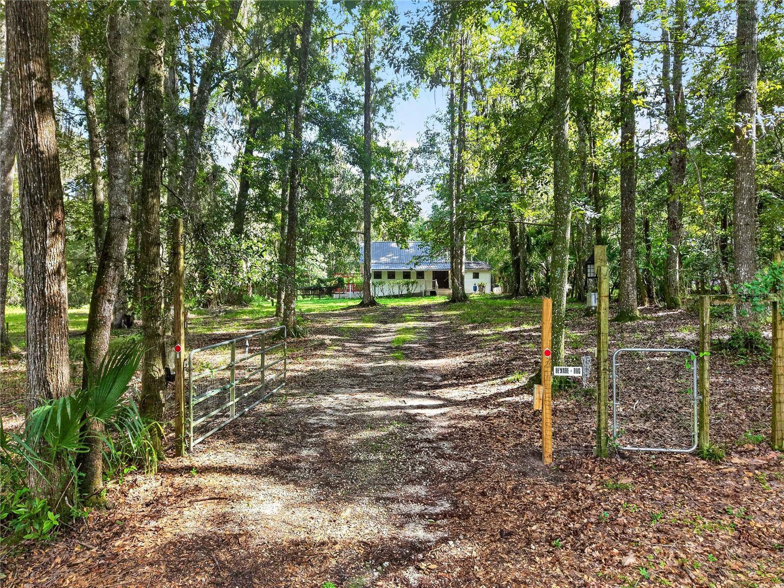 9350 NW 230 ST, Micanopy, FL 32667