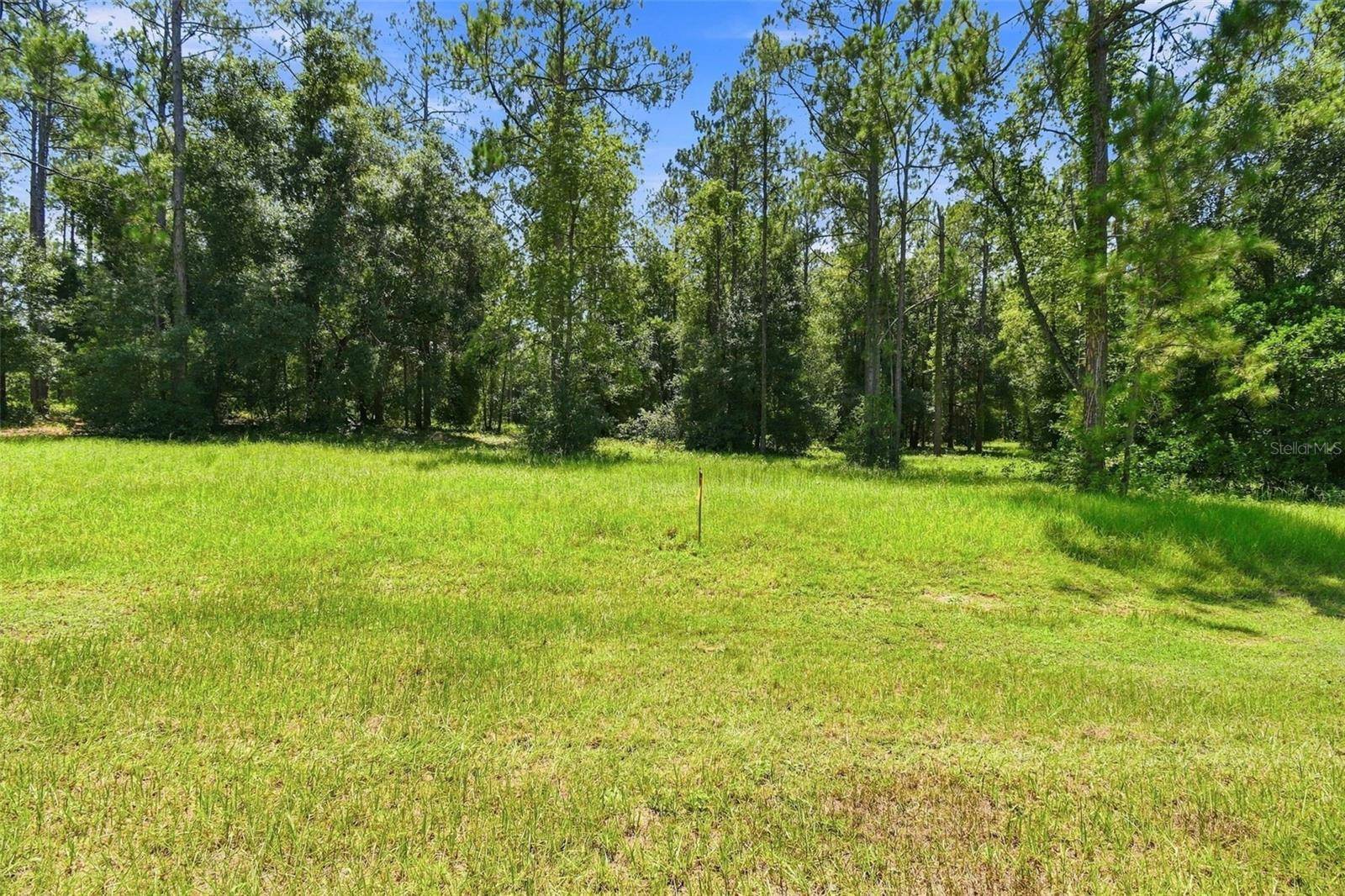 24150 GREENWOOD XING, Eustis, FL 32736