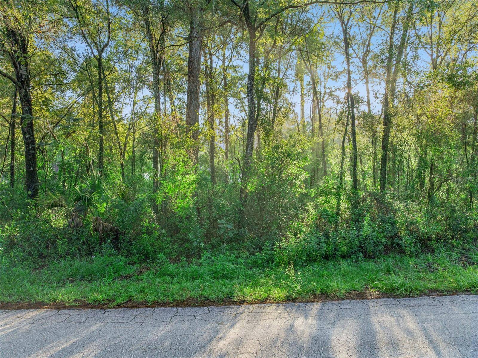 29 N ROOKS AVE, Inverness, FL 34453