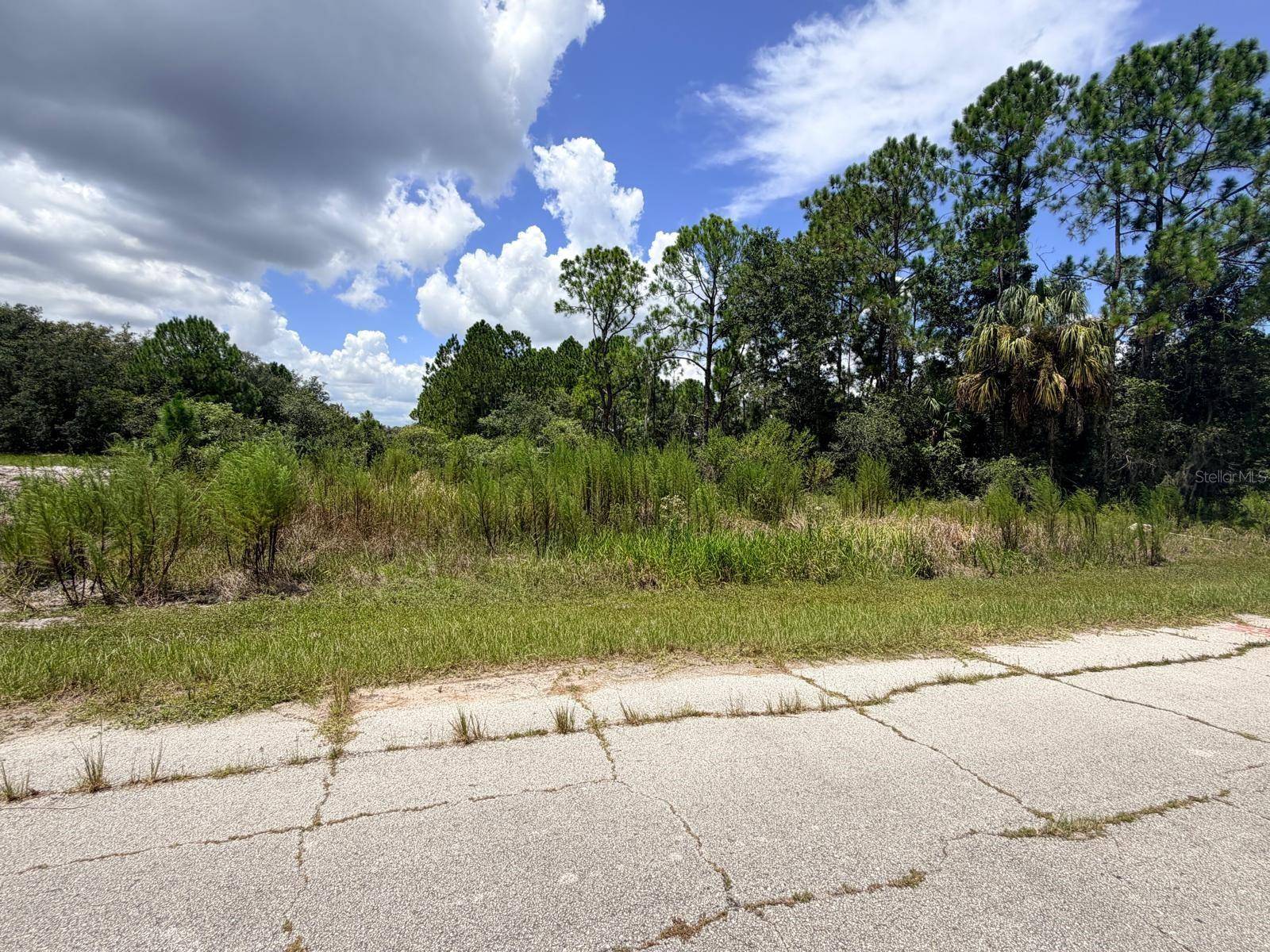1269 BALTIC DR, Poinciana, FL 34759