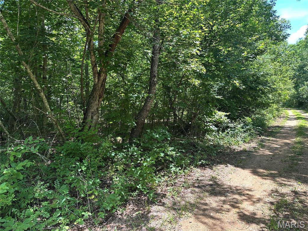 TBD Kaw Court, Annapolis, MO 63620