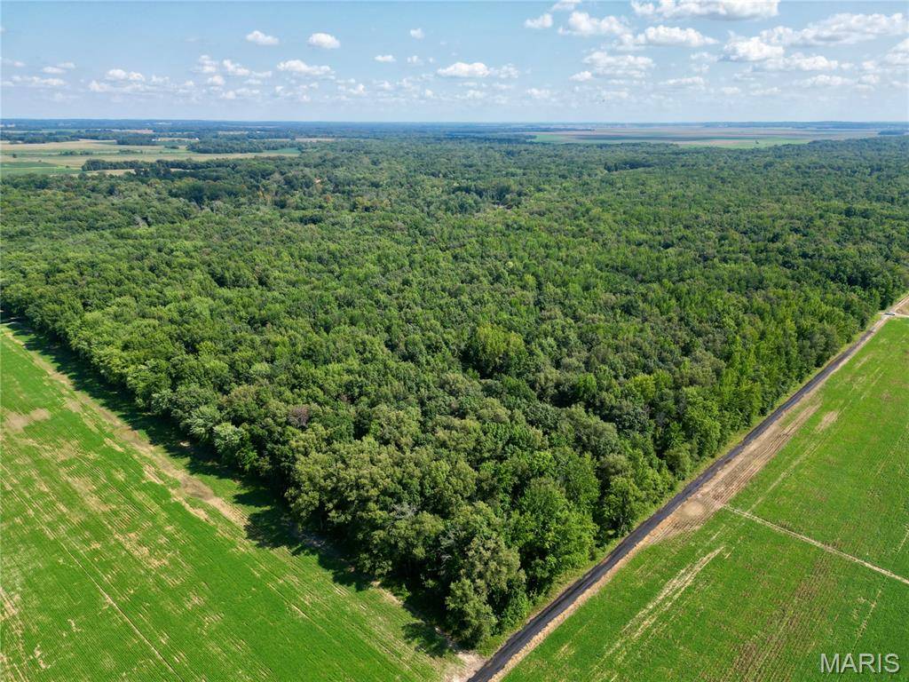 00 County Road 2600 East, Fairfield, IL 62837