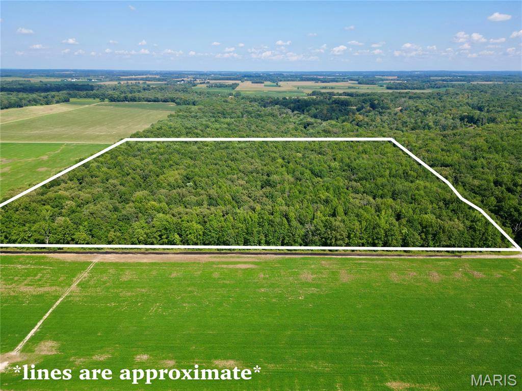 00 County Road 2600 East, Fairfield, IL 62837