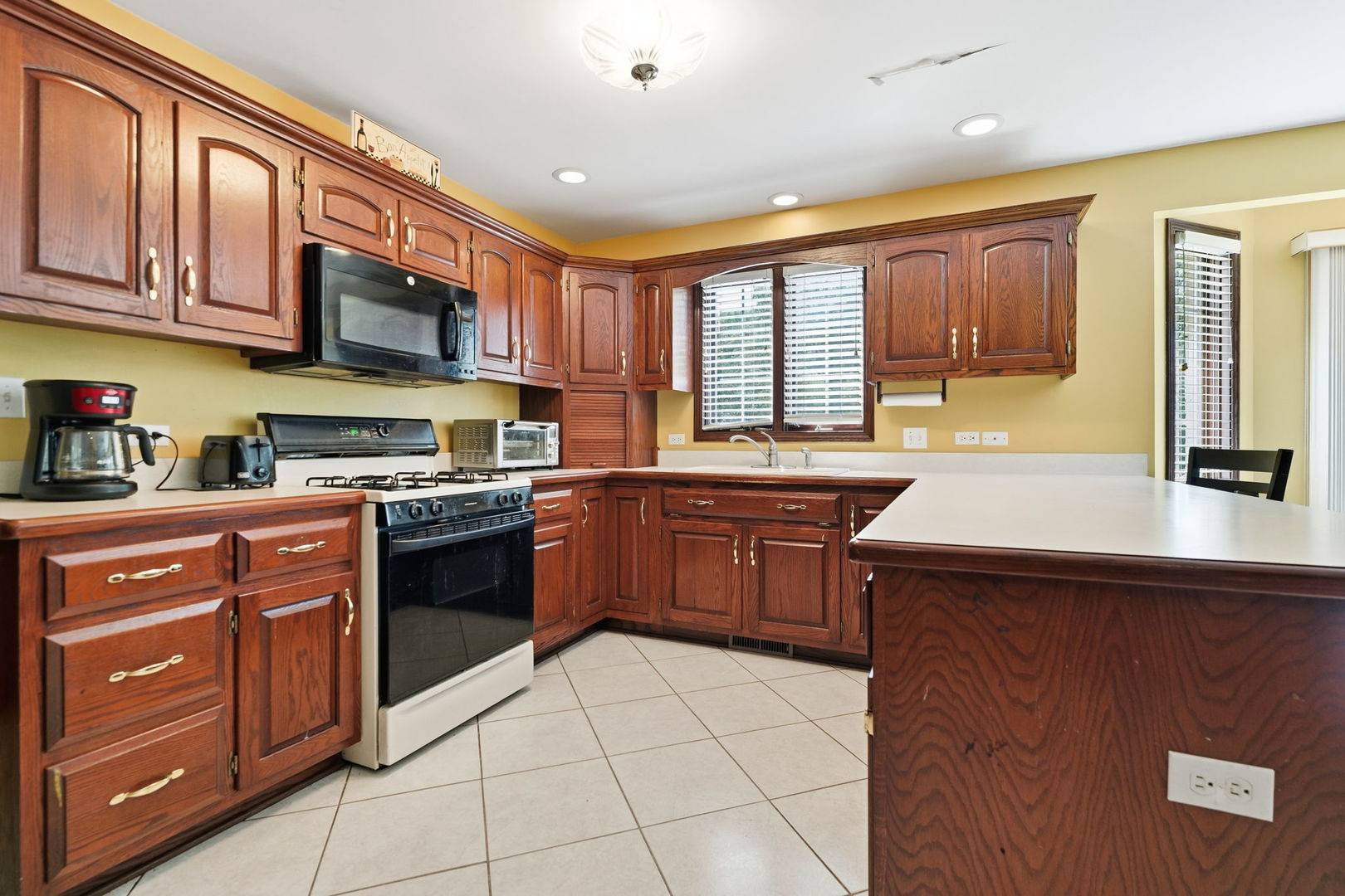 10 S Hampton CT, Crete, IL 60417