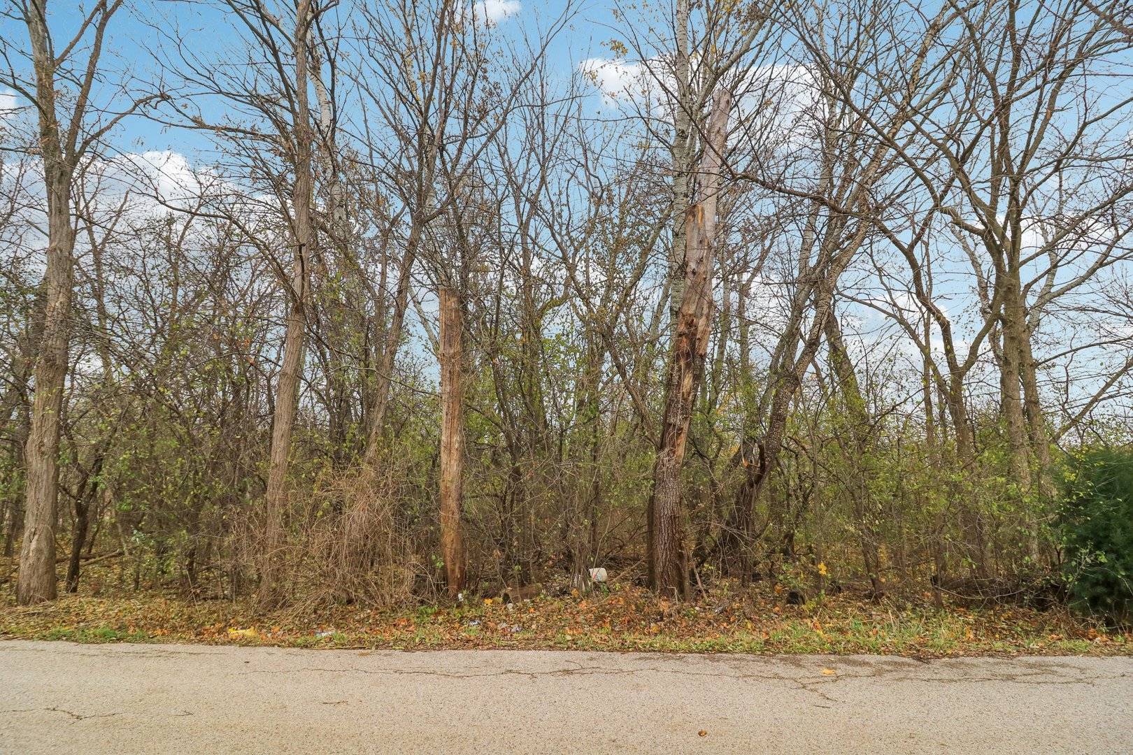 22771 Lake Park AVE, Round Lake Beach, IL 60073