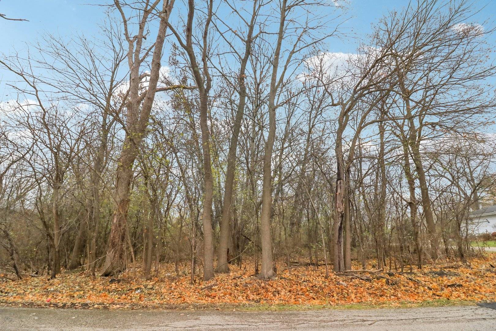 22771 Lake Park AVE, Round Lake Beach, IL 60073