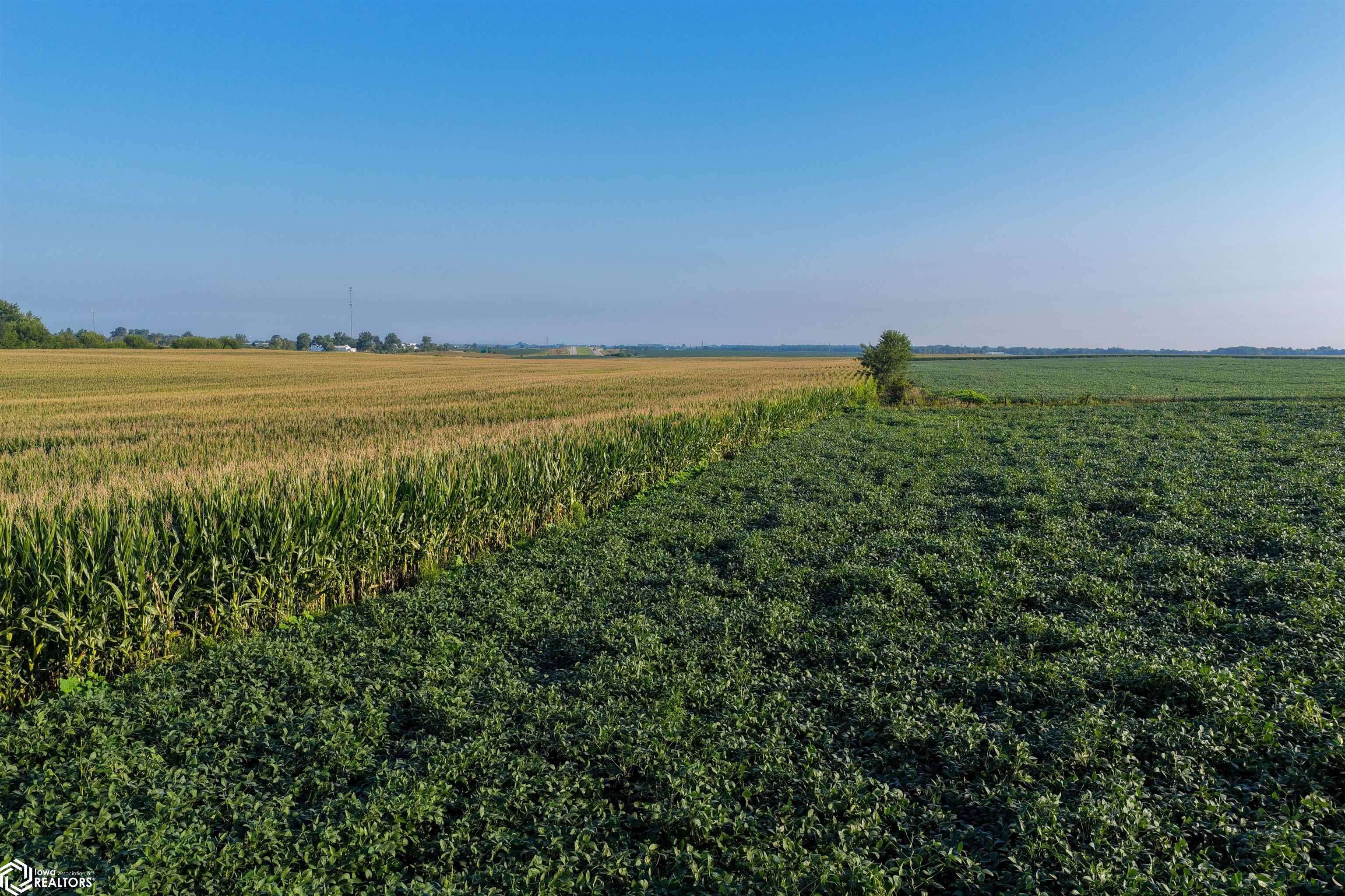 County Road G44X, Grandview, IA 52752