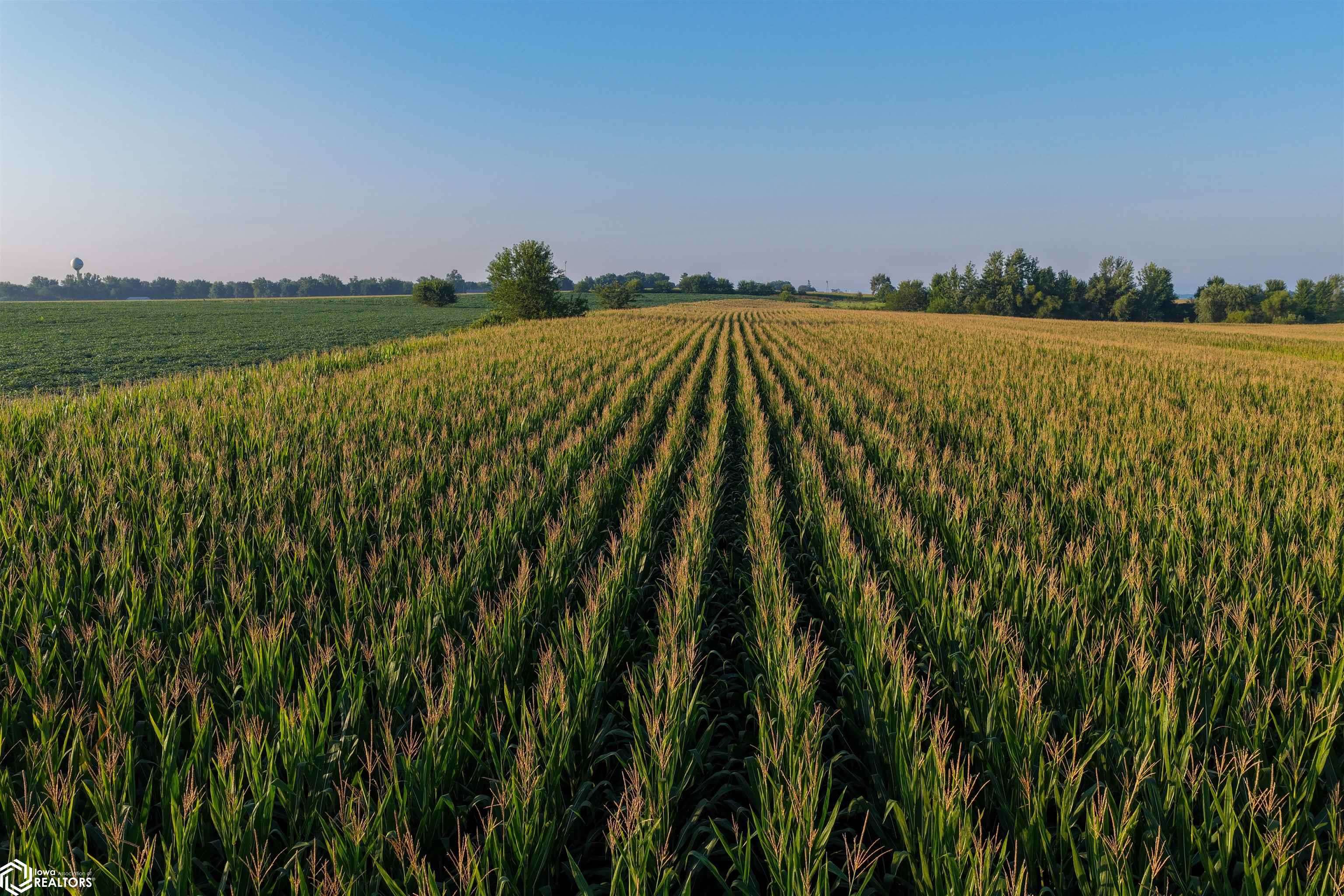 County Road G44X, Grandview, IA 52752