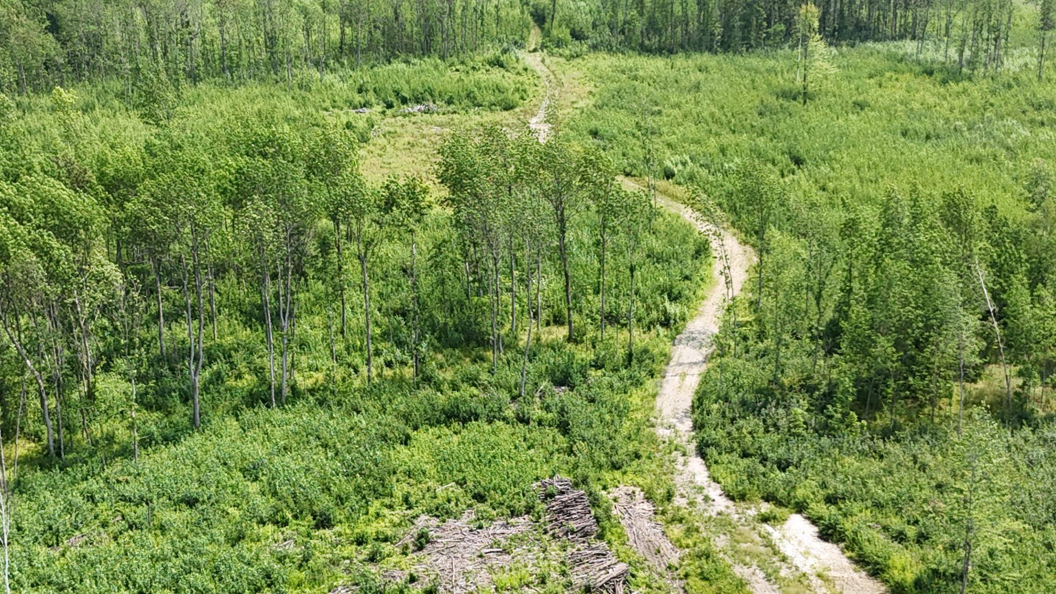 17 E  TBD County Road, Mizpah, MN 56660