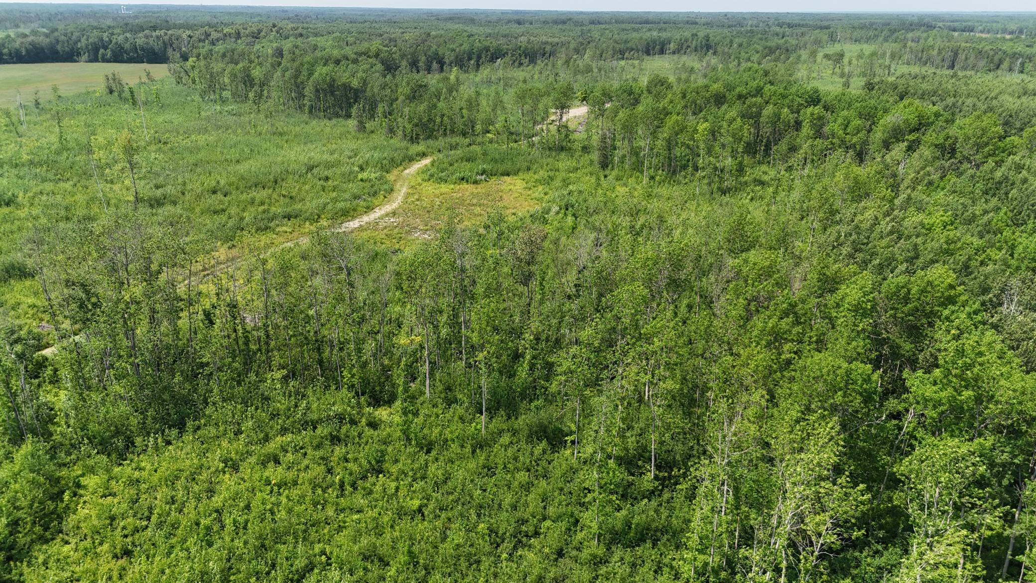 17 E  TBD County Road, Mizpah, MN 56660