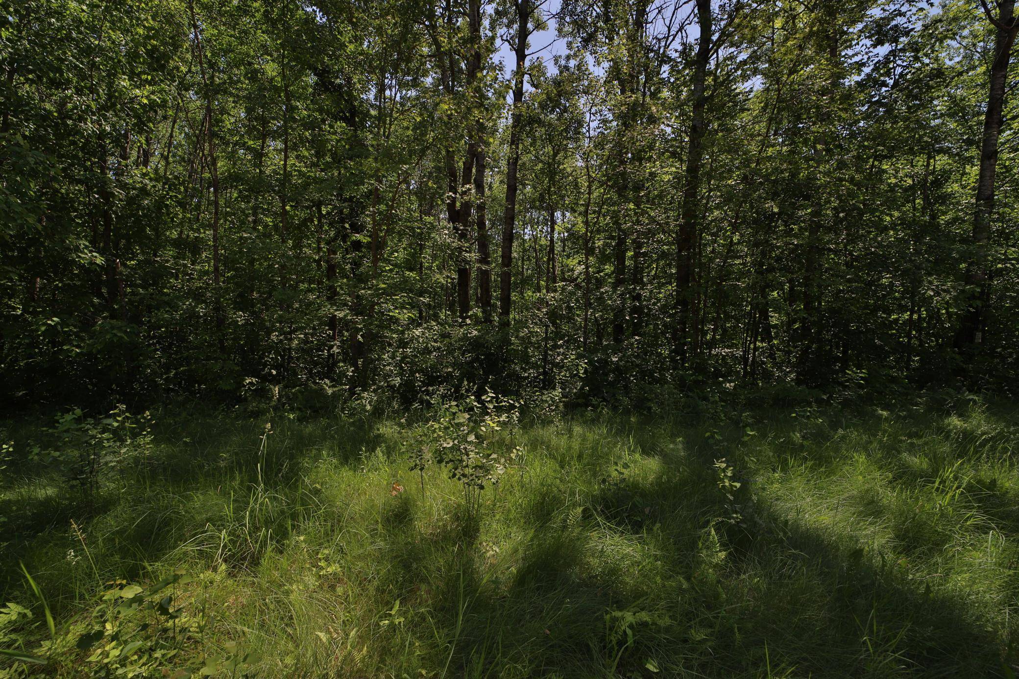 Tract C Olander RD, Crosby, MN 56441
