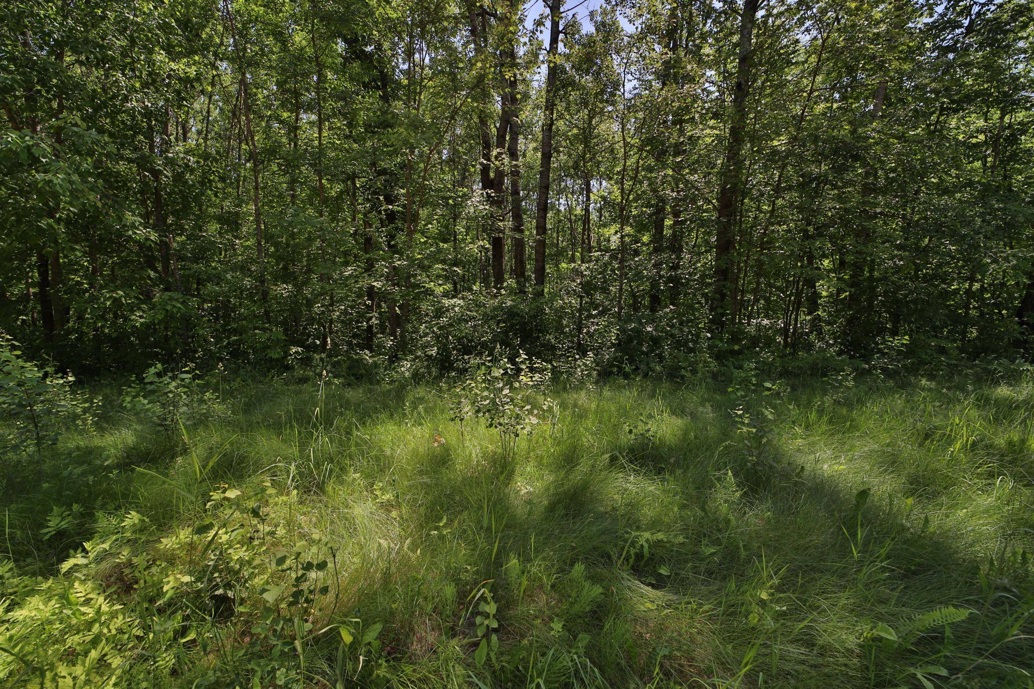 Tract C Olander RD, Crosby, MN 56441