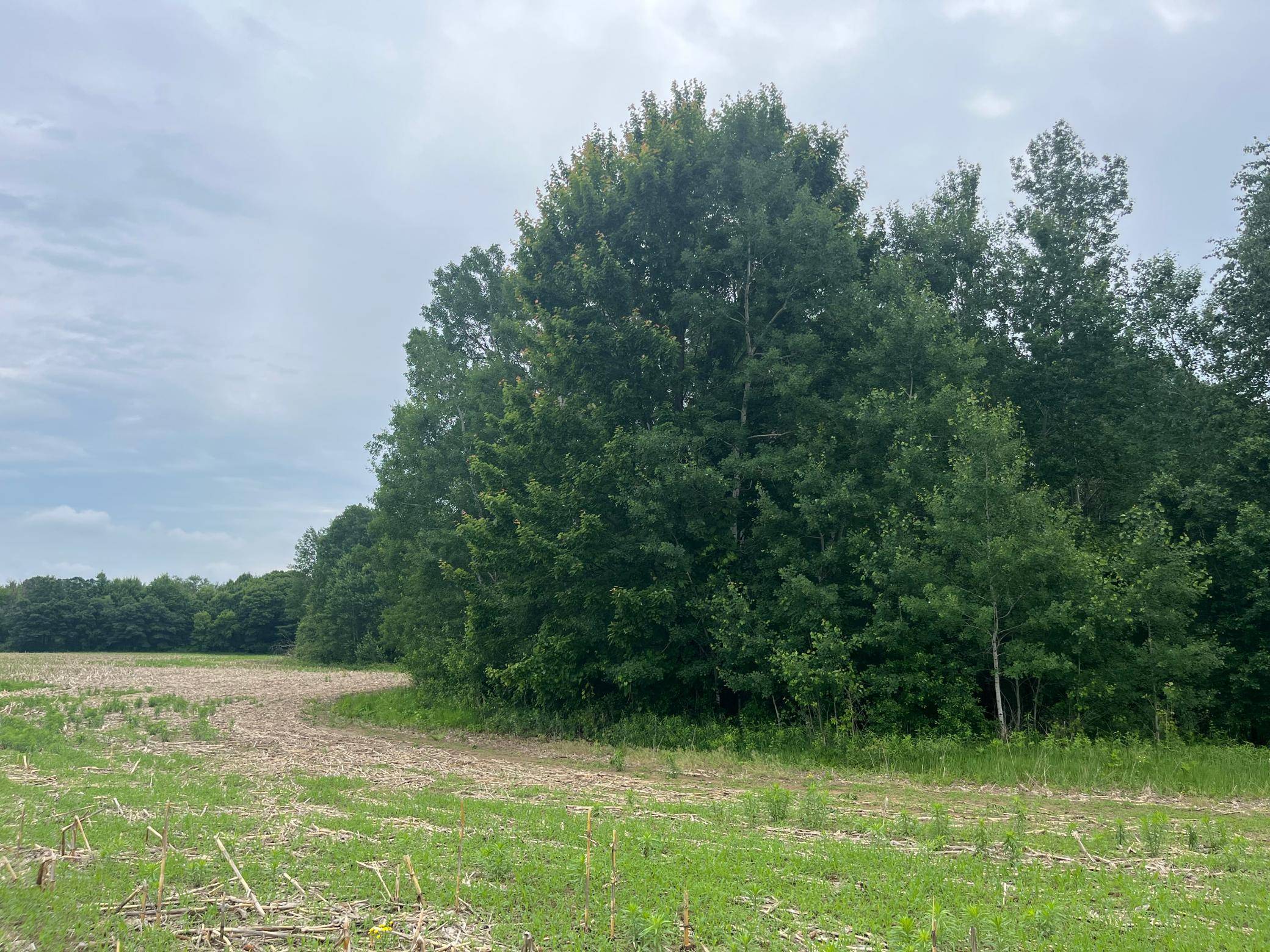 TBD (Lot 3) Hemingway AVE, North Branch, MN 55056