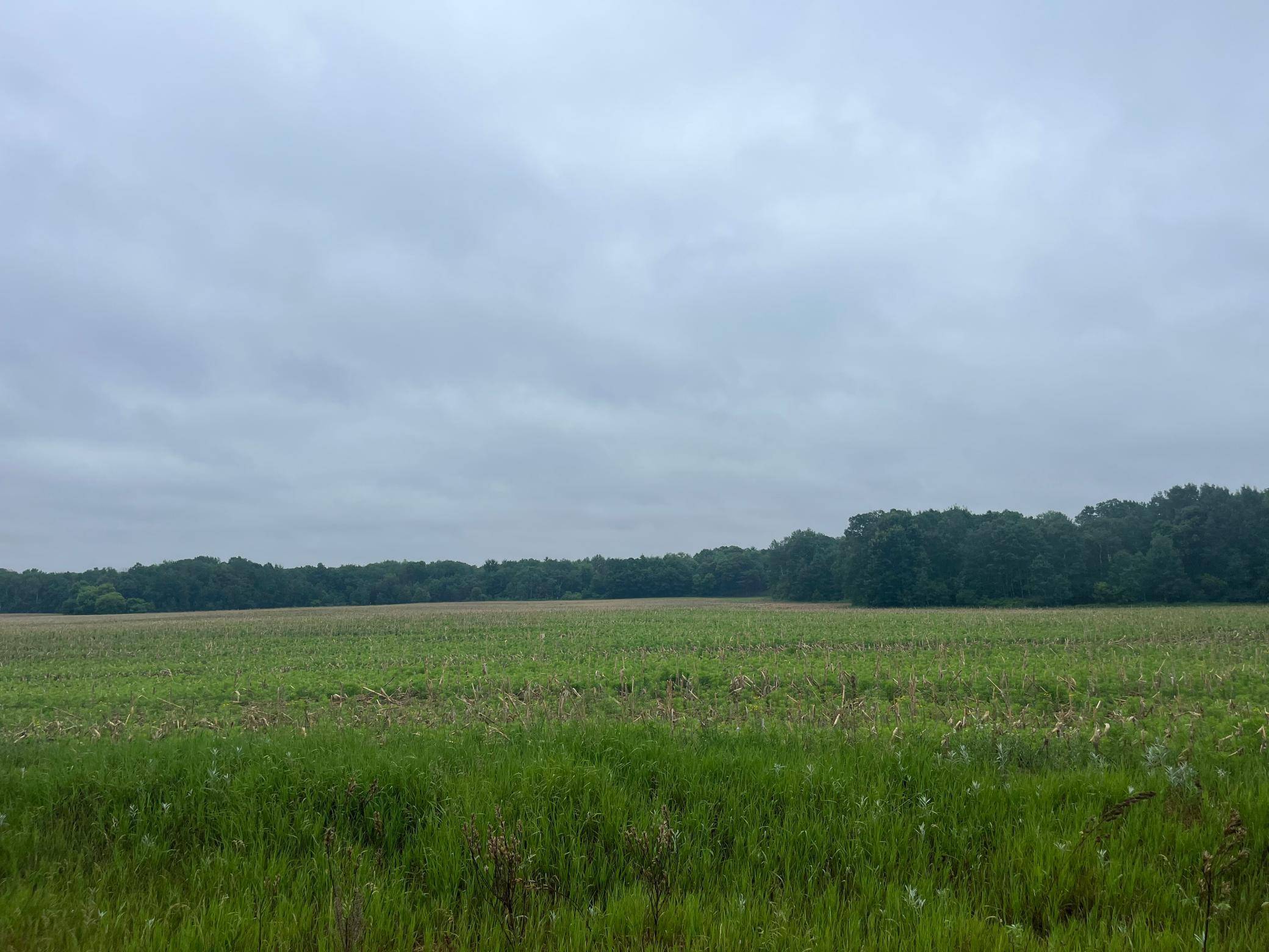 TBD (Lot 3) Hemingway AVE, North Branch, MN 55056