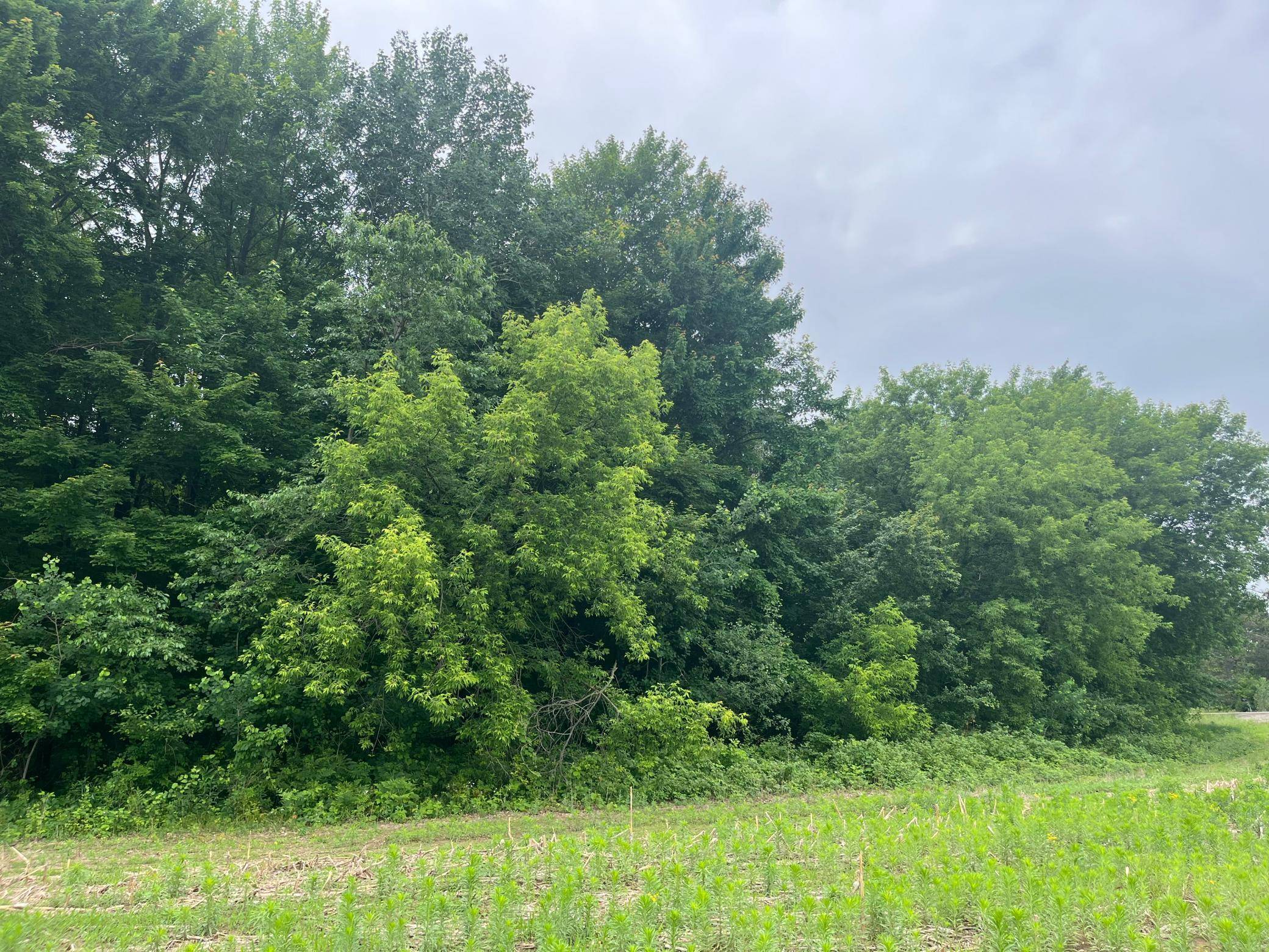 TBD (Lot 4) Hemingway AVE, North Branch, MN 55056