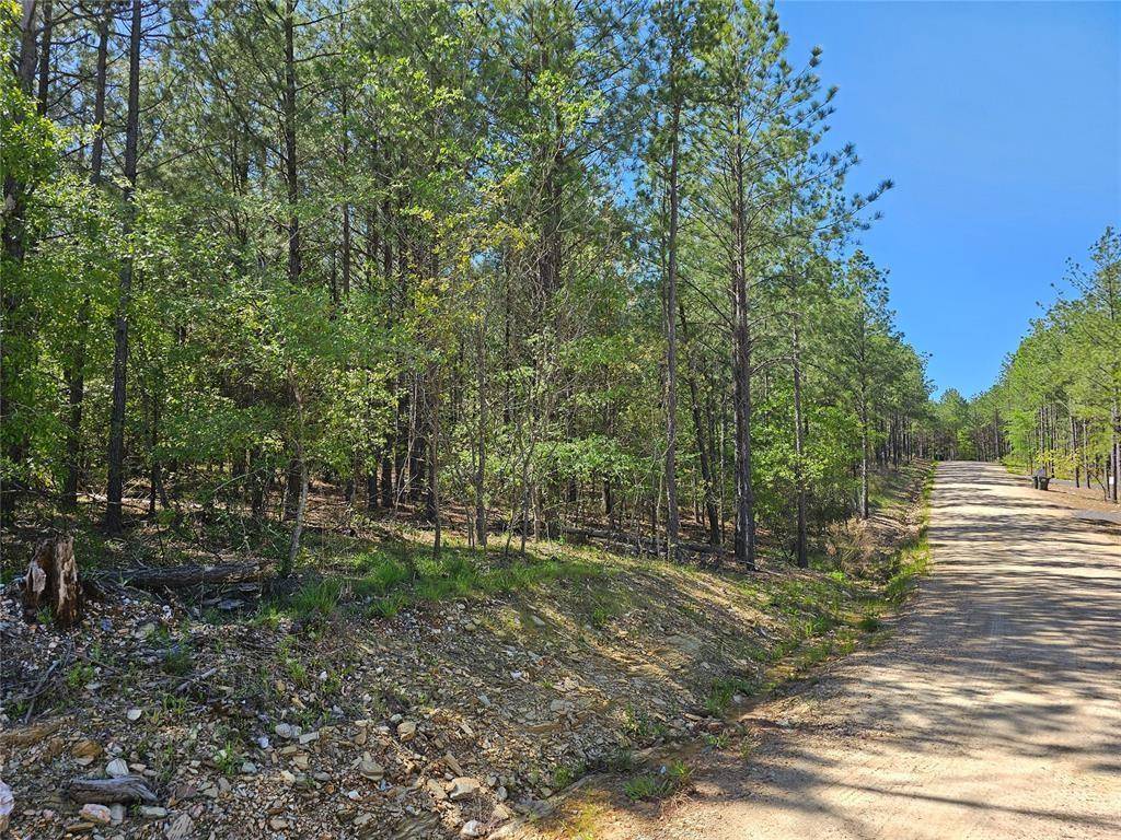 401 Hochapine TRL, Broken Bow, OK 74728