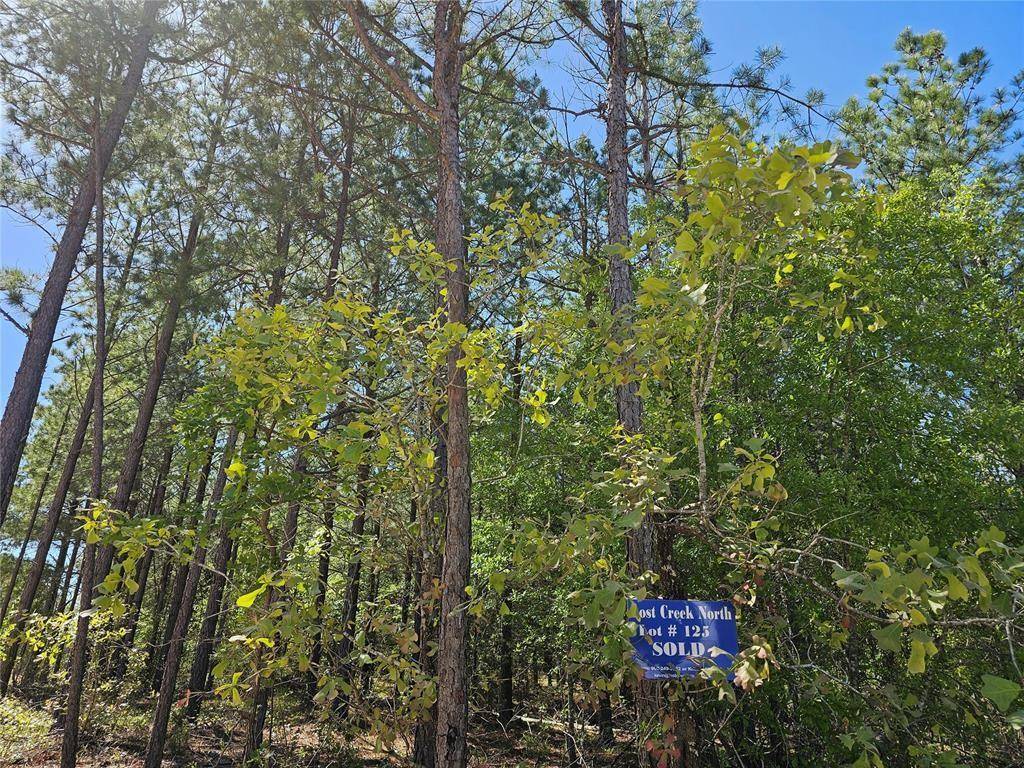 401 Hochapine TRL, Broken Bow, OK 74728