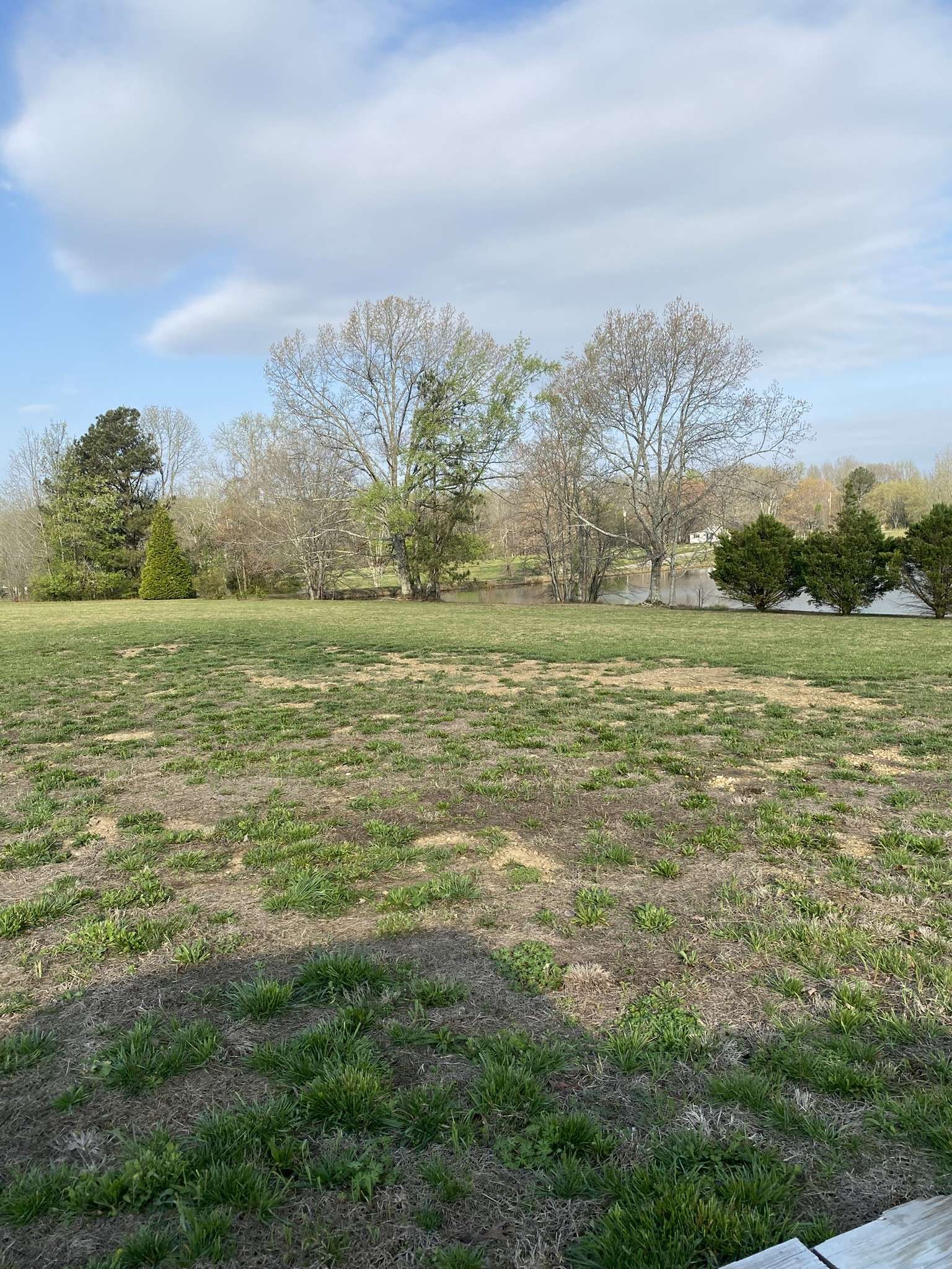 0 White Rd, Pulaski, TN 38478