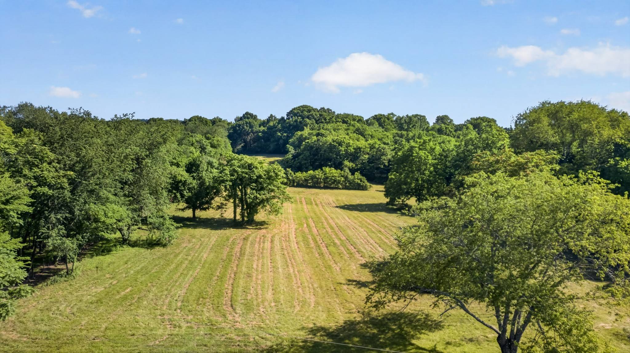 8992 Horton Hwy, College Grove, TN 37046