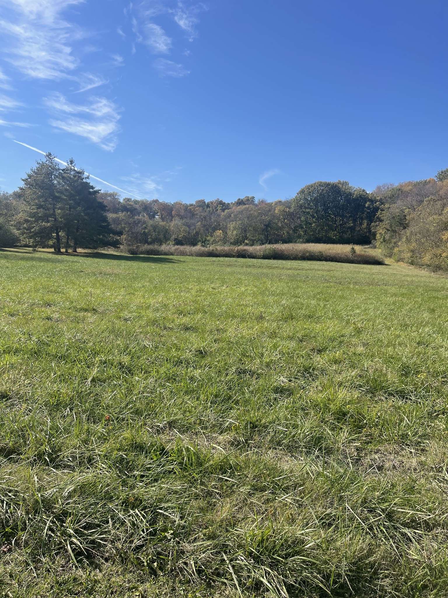 0 Pasquo Road, Nashville, TN 37221