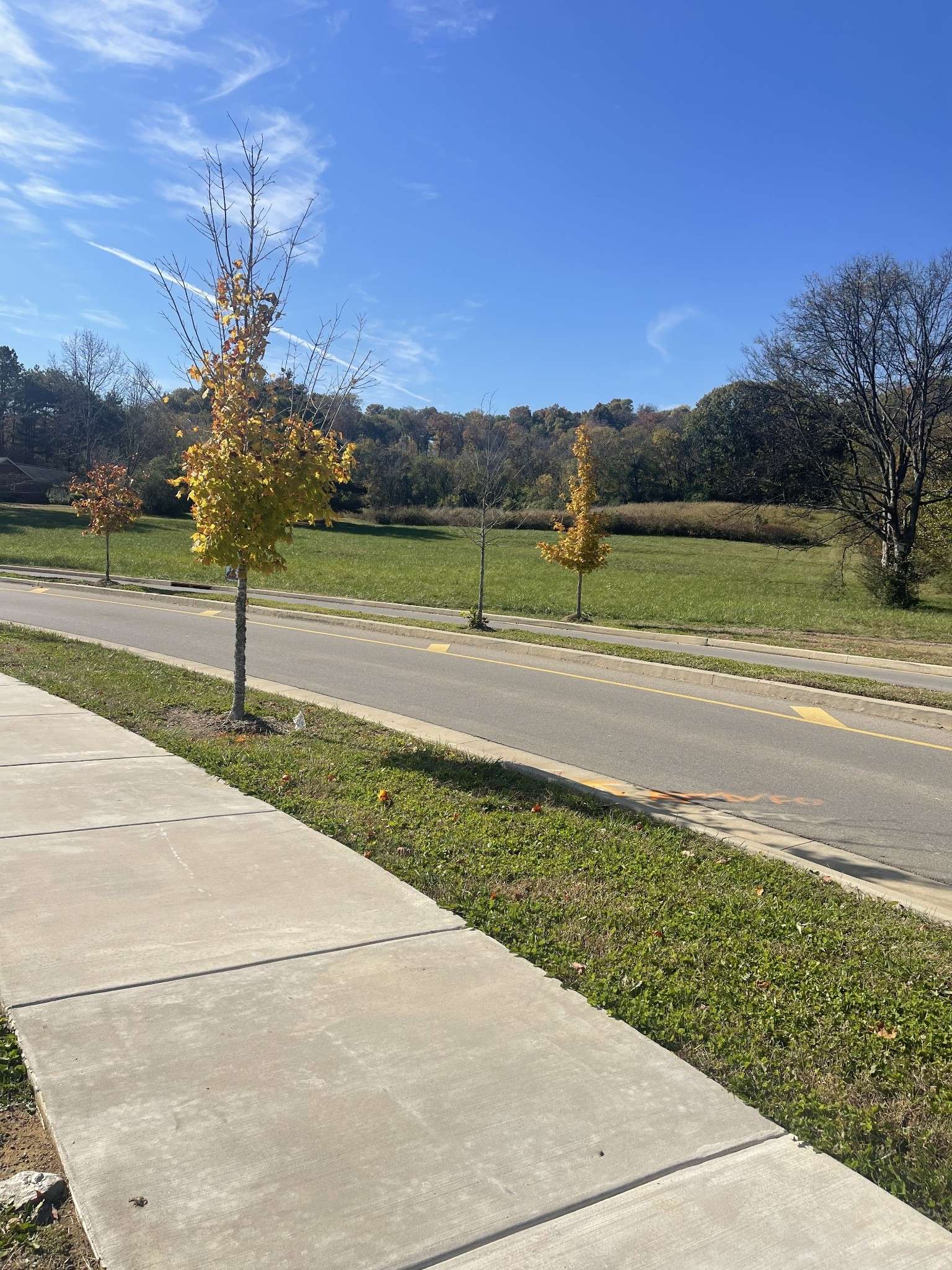 0 Pasquo Road, Nashville, TN 37221