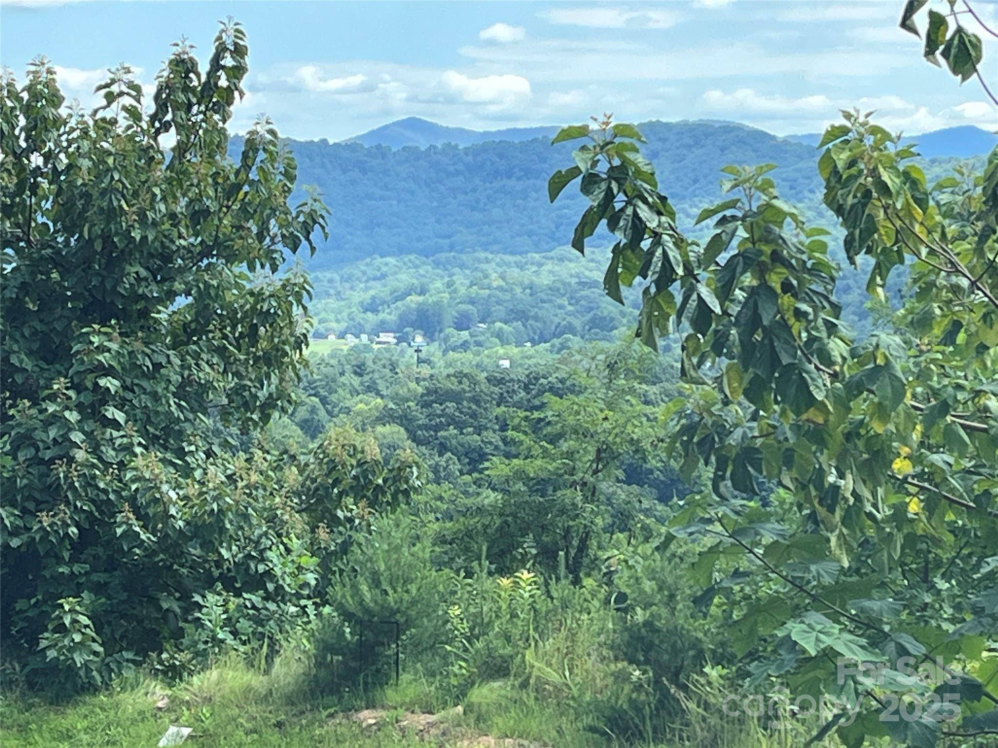 4 Summit View DR #4, Canton, NC 28716