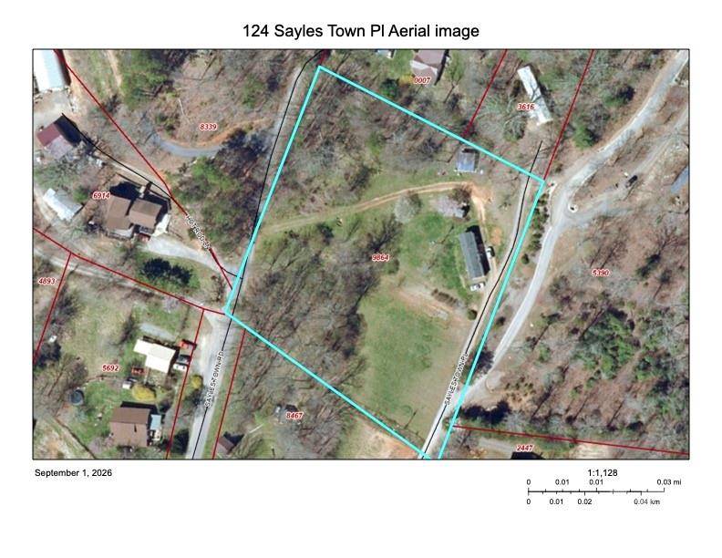 124 Sayles Town PL, Fairview, NC 28730