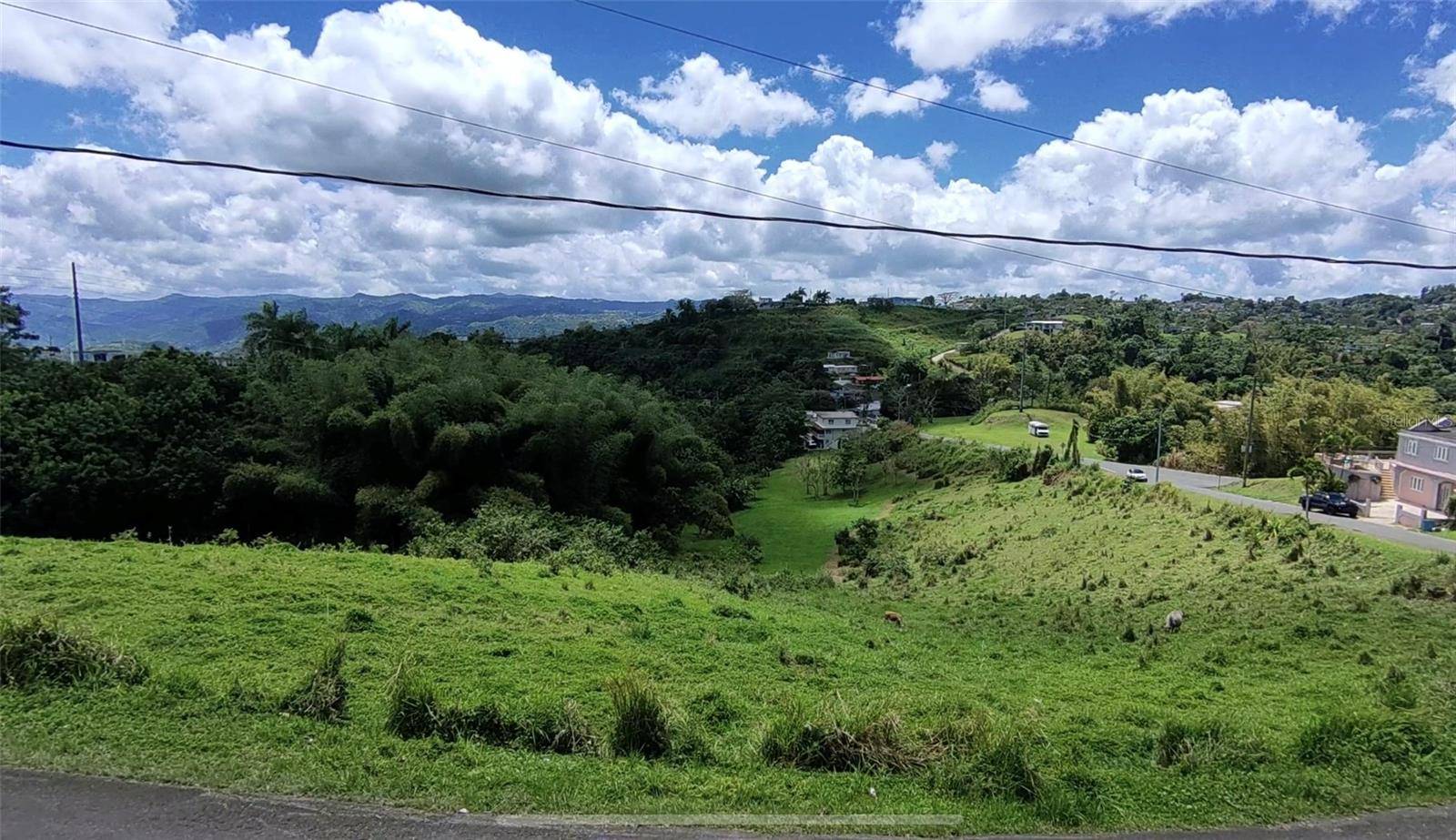 PR 749 KM 0.2 LOT 3 QUEBRADA GRANDE WD, Barranquitas, PR 00794