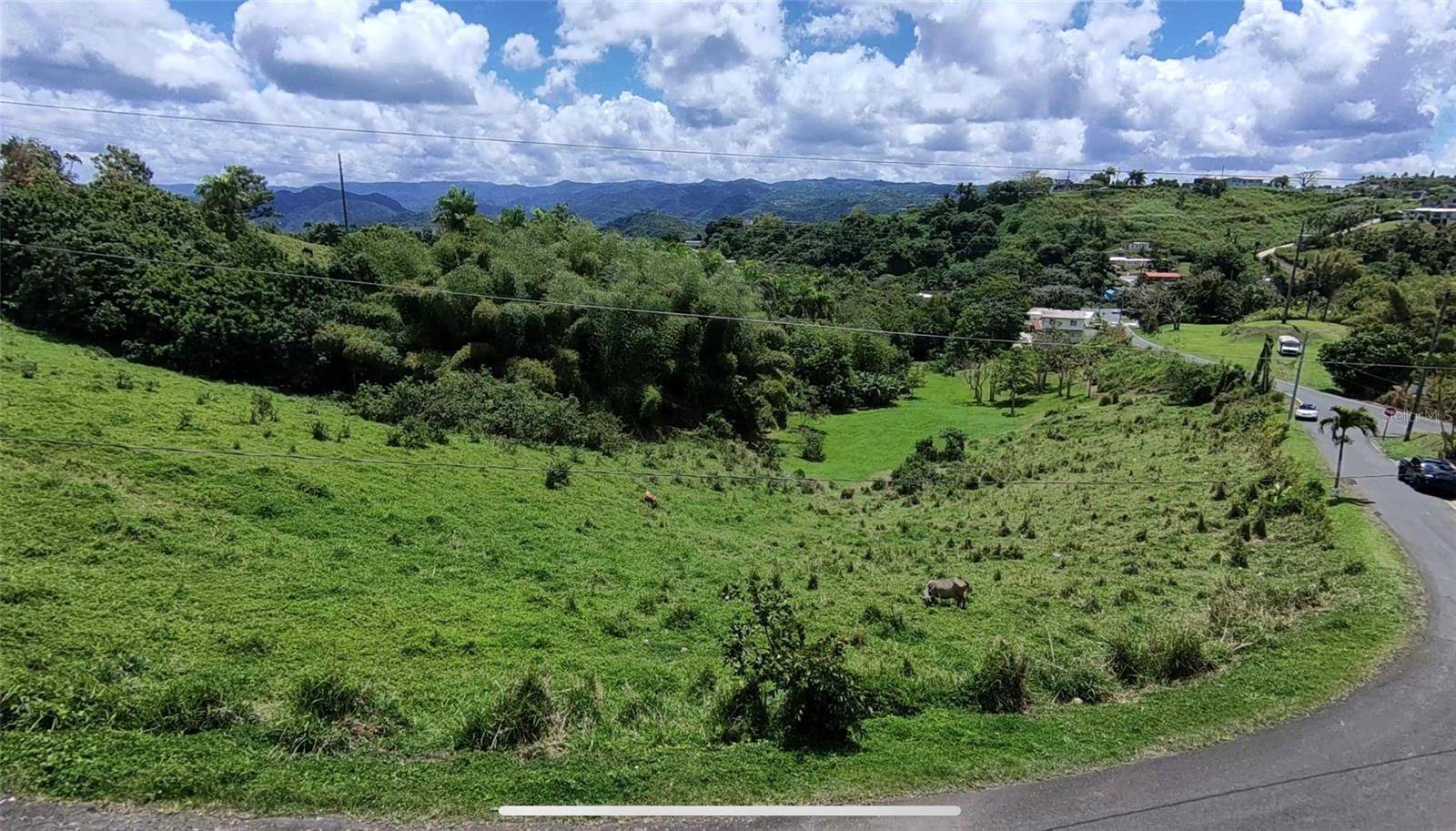 PR 749 KM 0.2 LOT 3 QUEBRADA GRANDE WD, Barranquitas, PR 00794