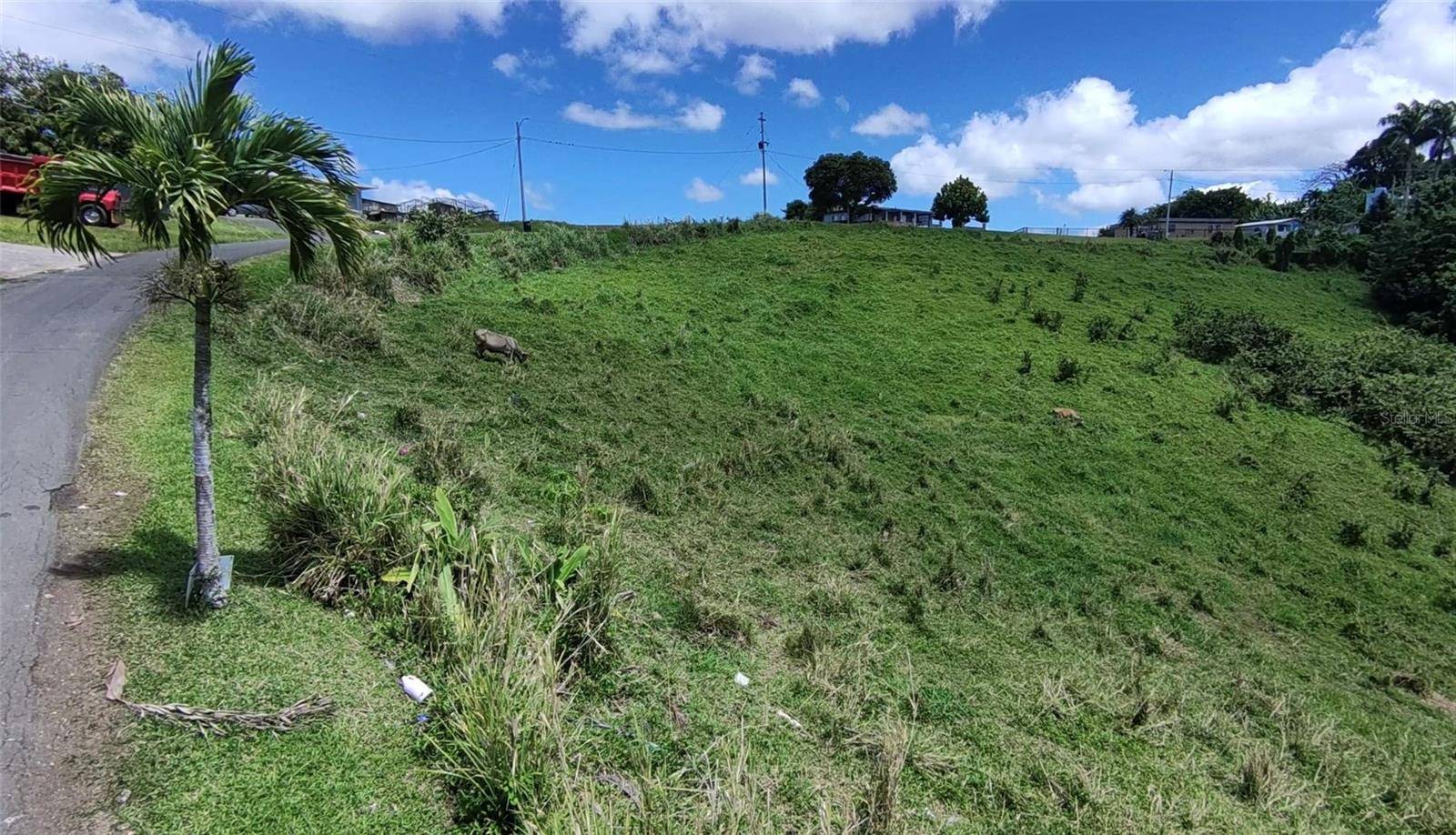 PR 749 KM 0.2 LOT 3 QUEBRADA GRANDE WD, Barranquitas, PR 00794