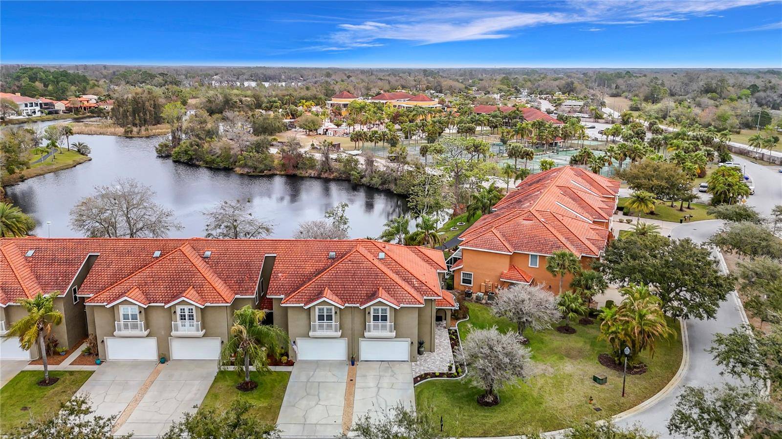 21211 CALLE ROSA DR, Land O Lakes, FL 34637