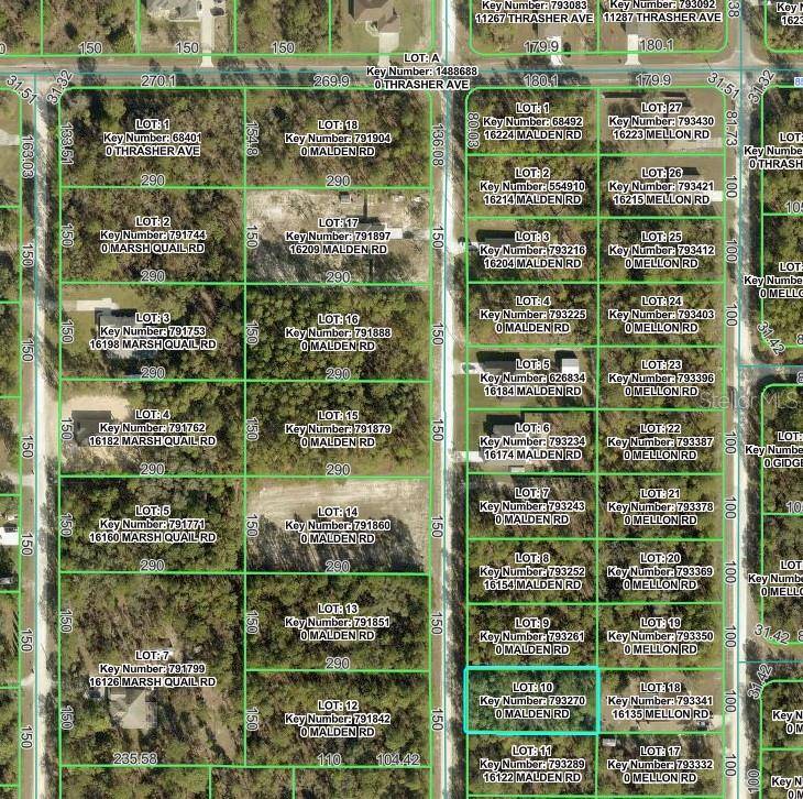 MALDEN RD, Weeki Wachee, FL 34614