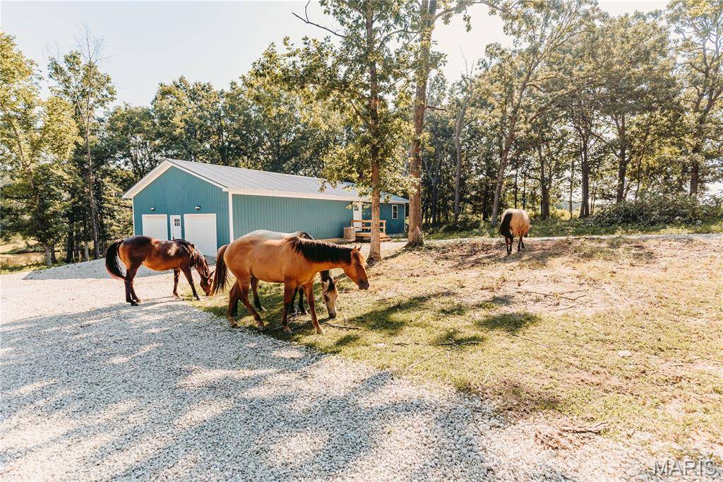 21503 Highway 28 W, Dixon, MO 65459