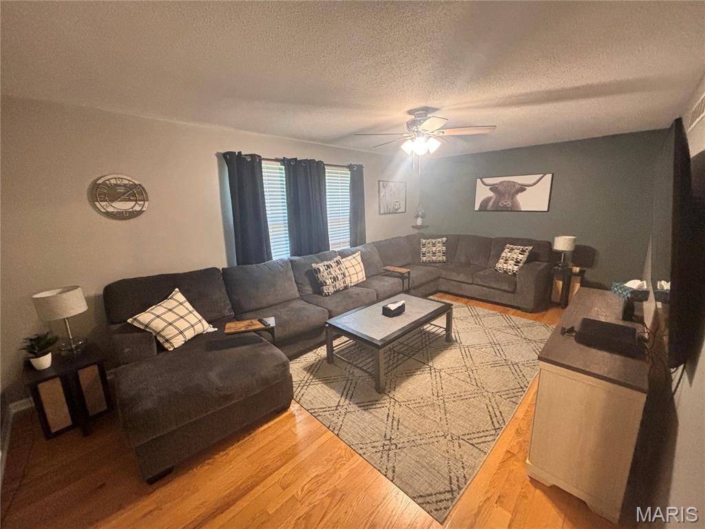 185 Lake Apollo DR, Hannibal, MO 63401