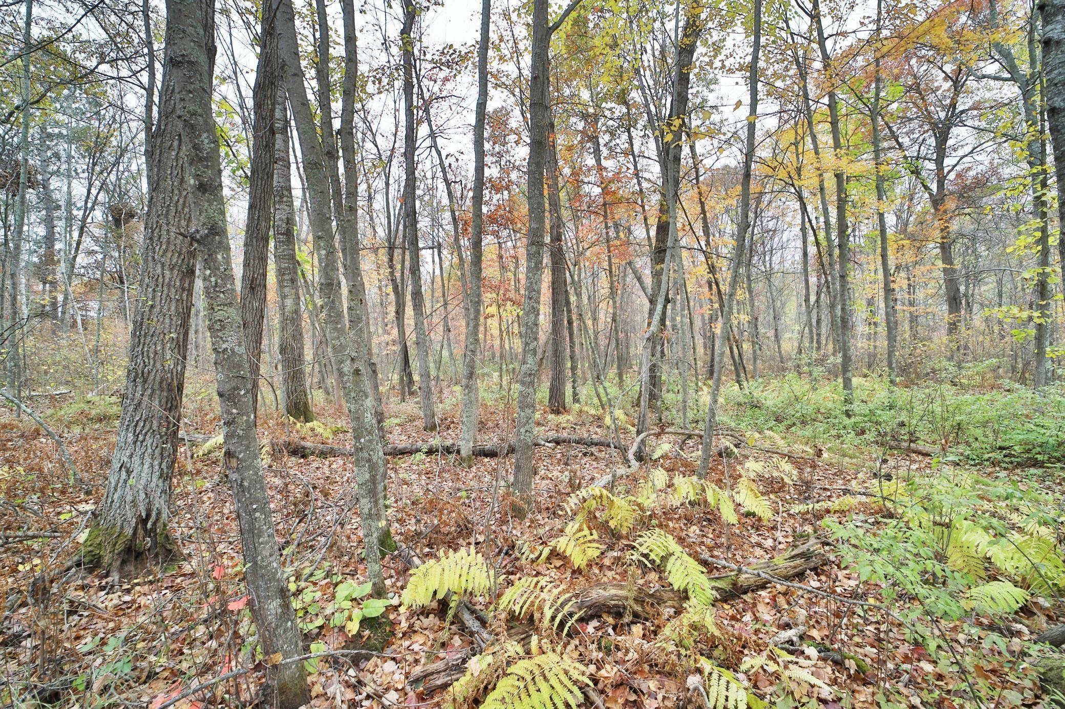 1022 Rock Elm TRL NW, Pine River, MN 56474